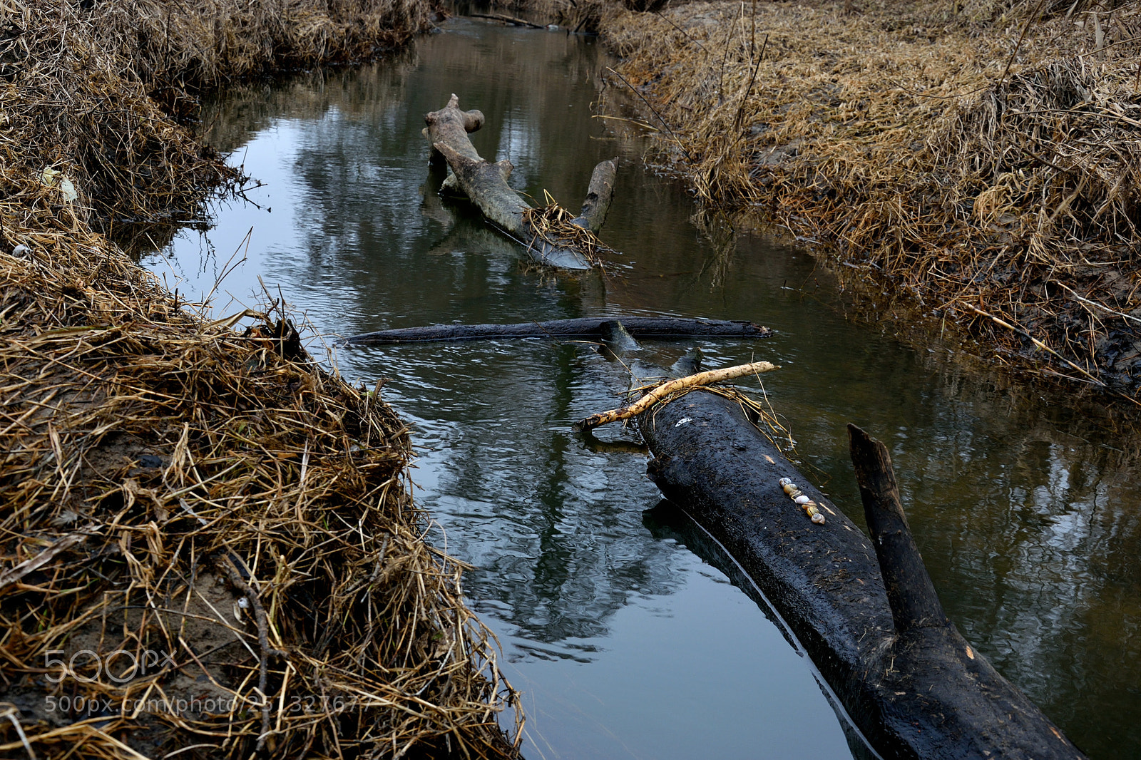 Nikon D3300 sample photo. Composition photography