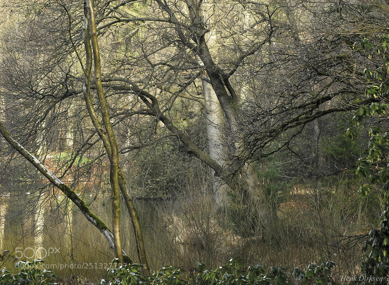 Nikon D200 sample photo. Waterkant photography