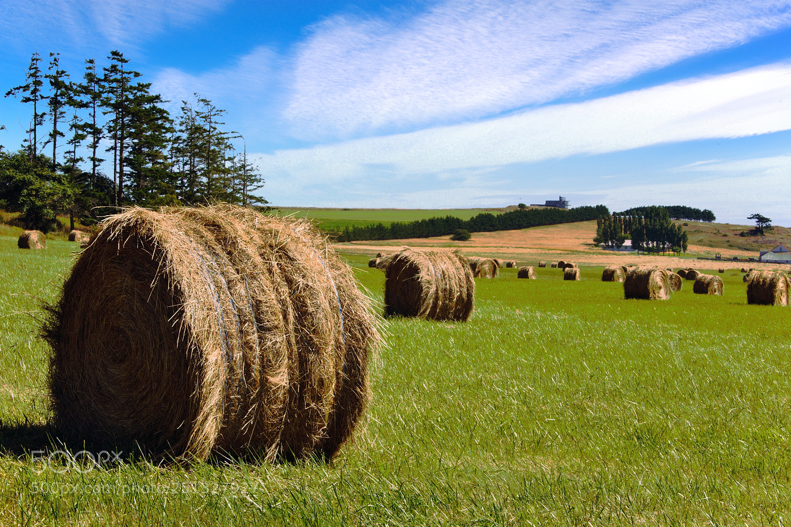 Nikon D700 sample photo. Farm, san juan islands photography