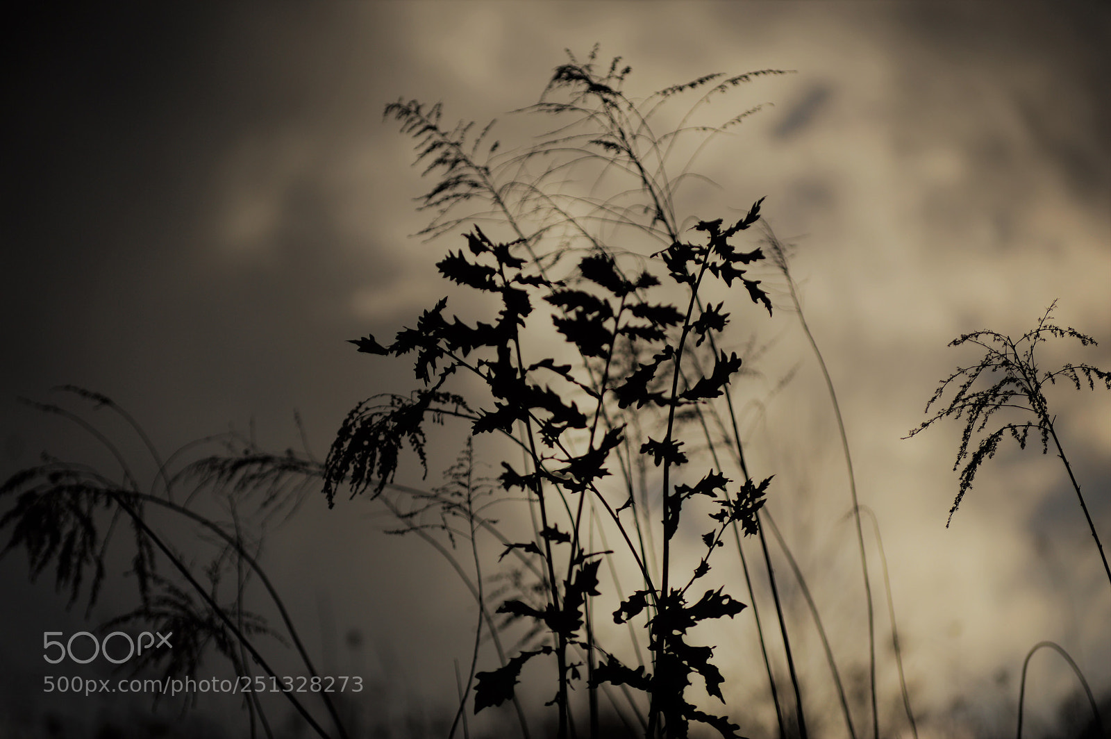 Nikon D3200 sample photo. Untitled photography