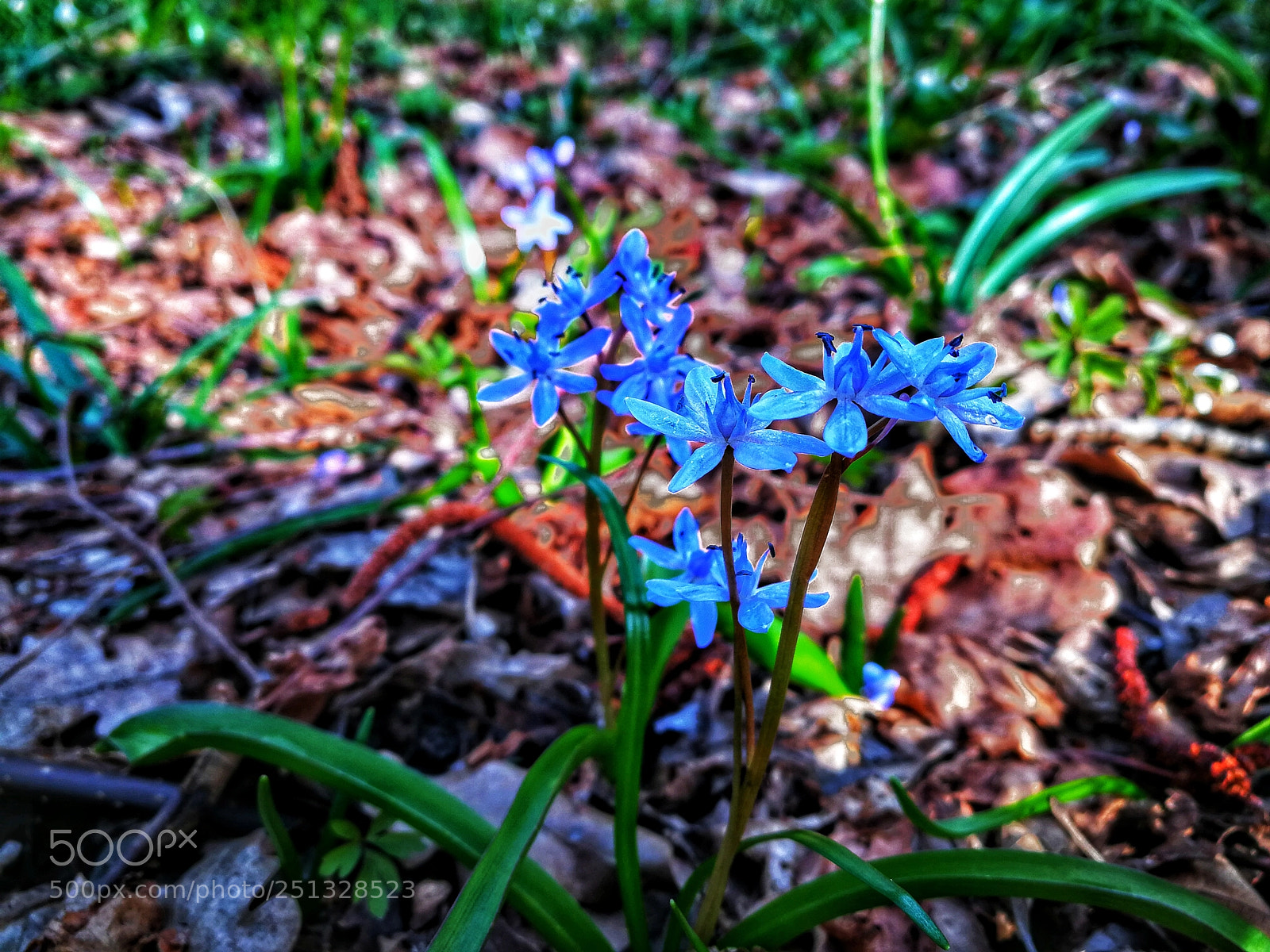 HUAWEI P10 sample photo. Untitled photography
