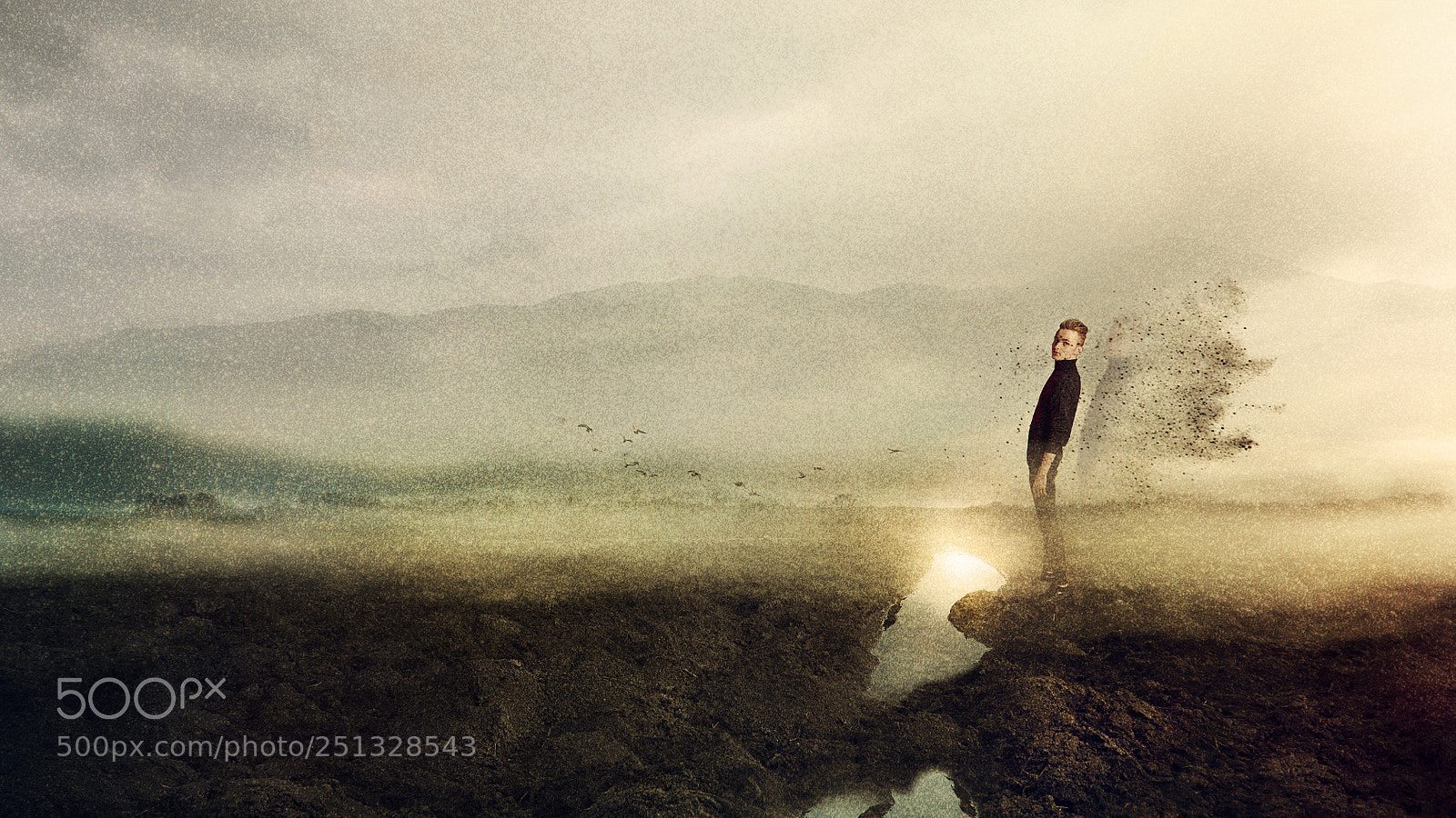 Nikon D810 sample photo. Dissolution photography