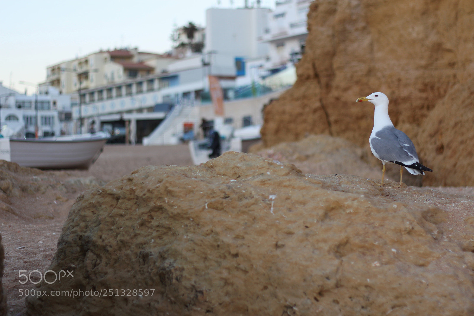 Canon EOS 700D (EOS Rebel T5i / EOS Kiss X7i) sample photo. Untitled photography