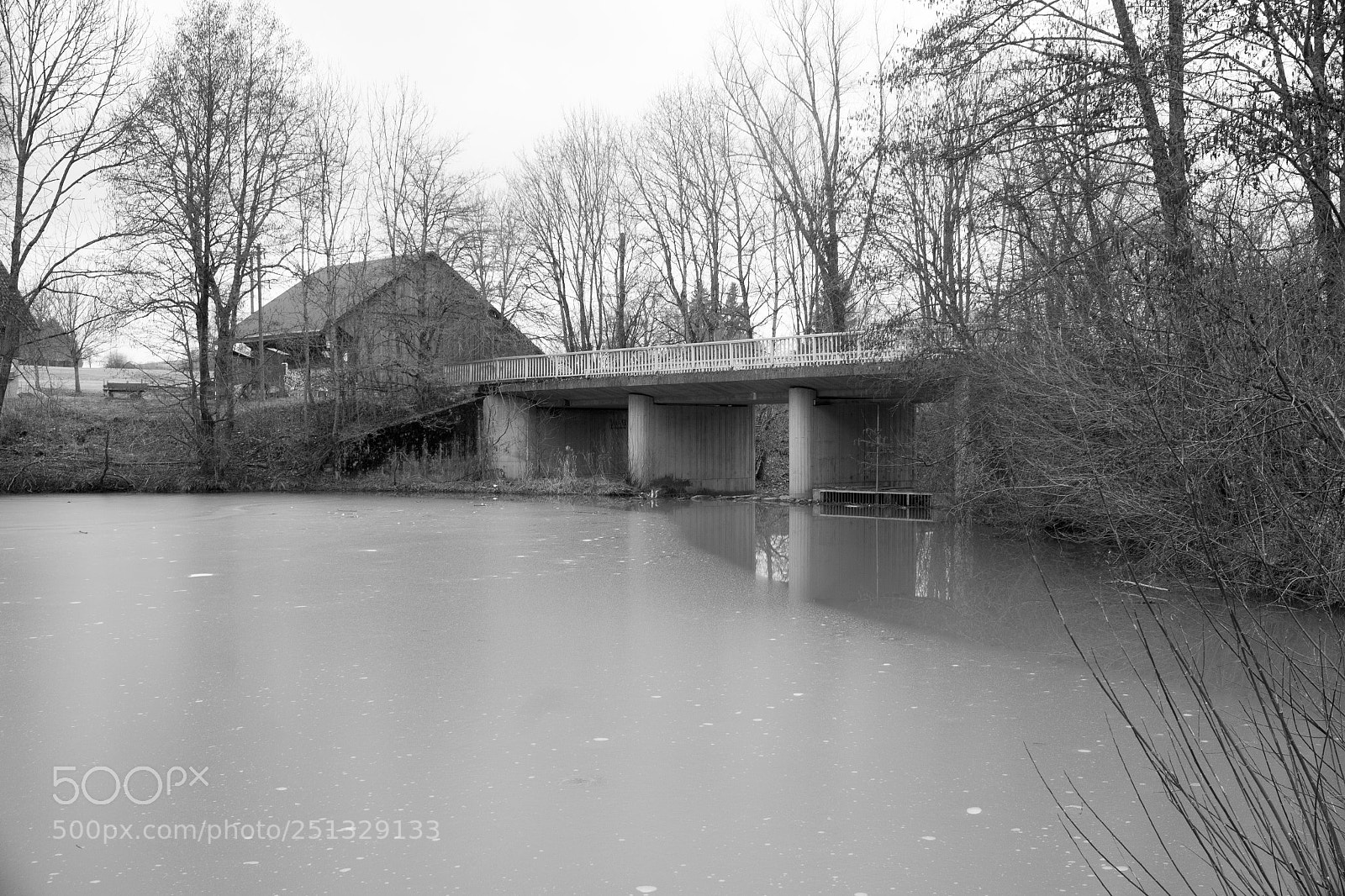 Canon EOS 550D (EOS Rebel T2i / EOS Kiss X4) sample photo. Black and white bridge photography