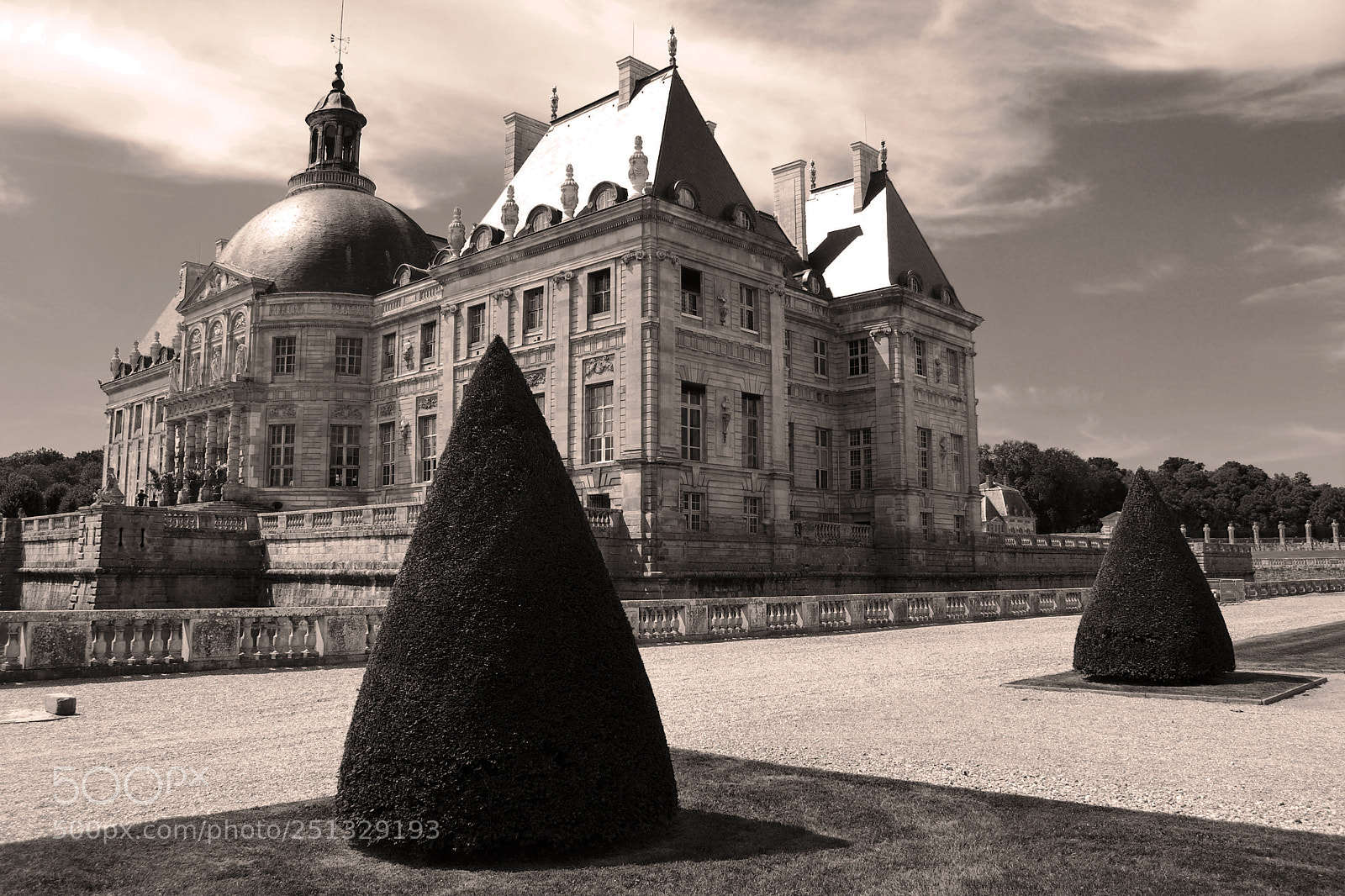 Nikon D60 sample photo. Vaux le vicomte photography