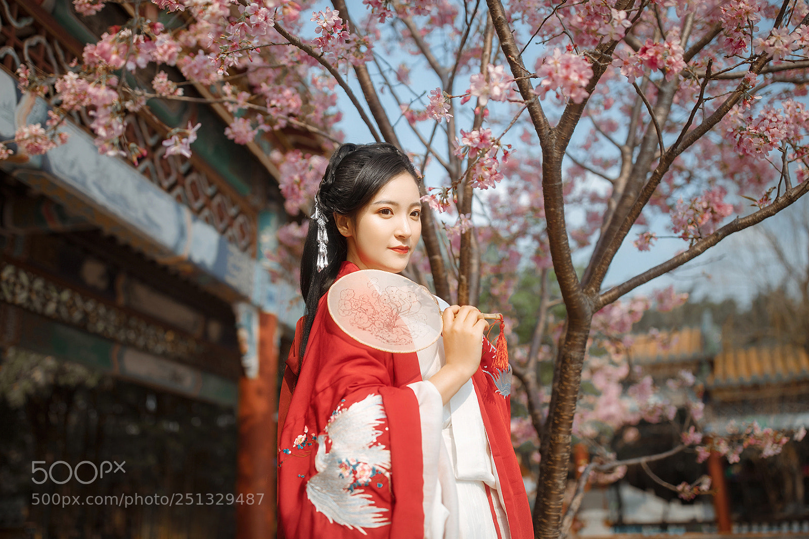 Canon EOS 5D Mark IV sample photo. Untitled photography