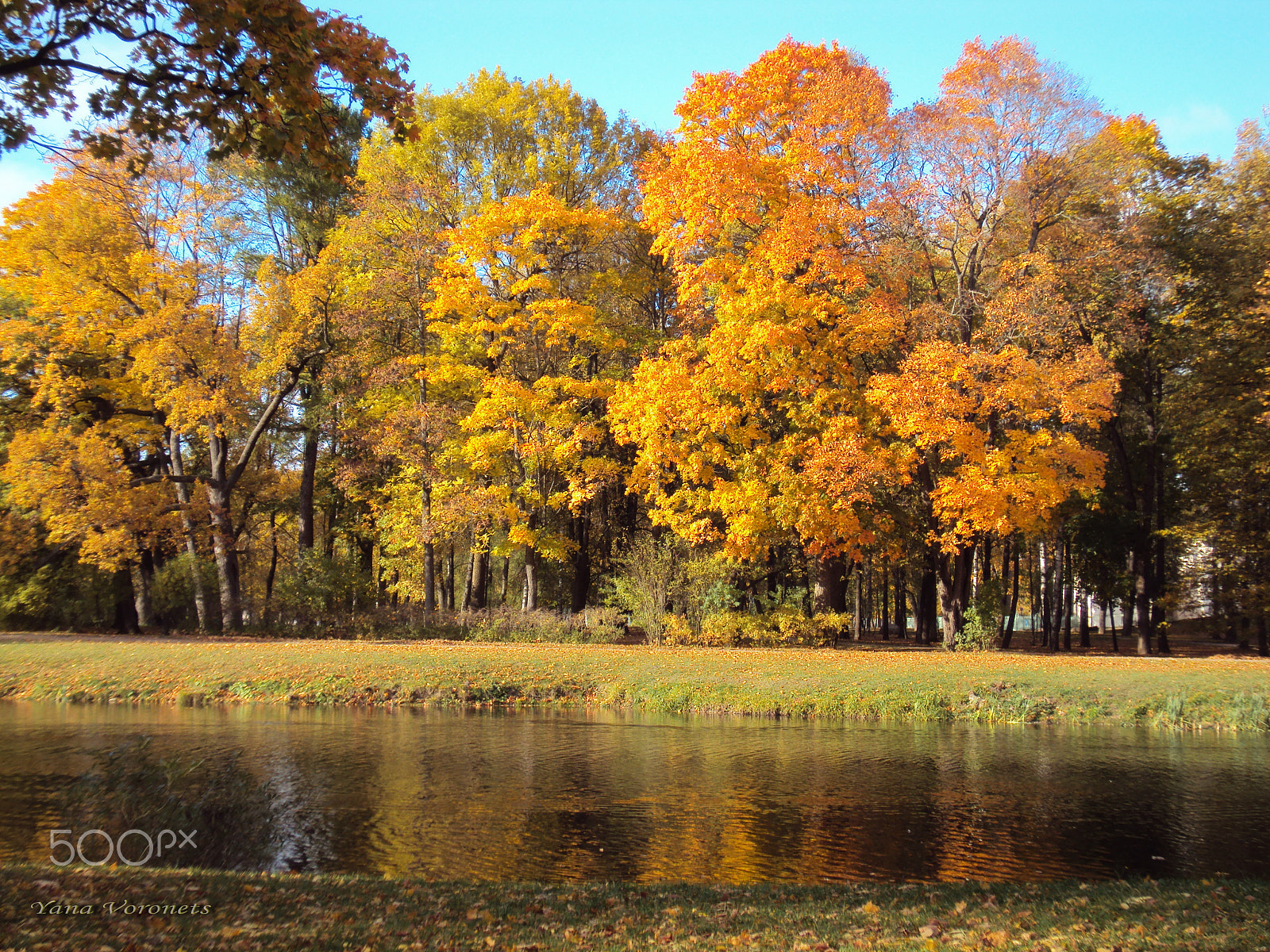 Sony DSC-W190 sample photo. Golden autumn photography