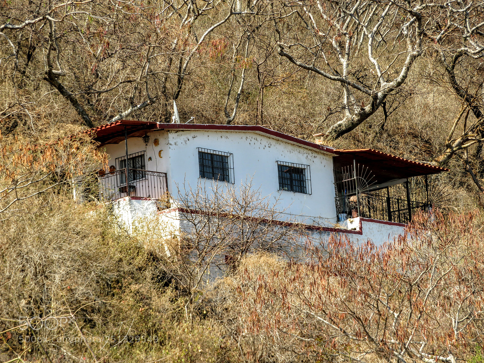 Canon PowerShot SX720 HS sample photo. Descansando photography