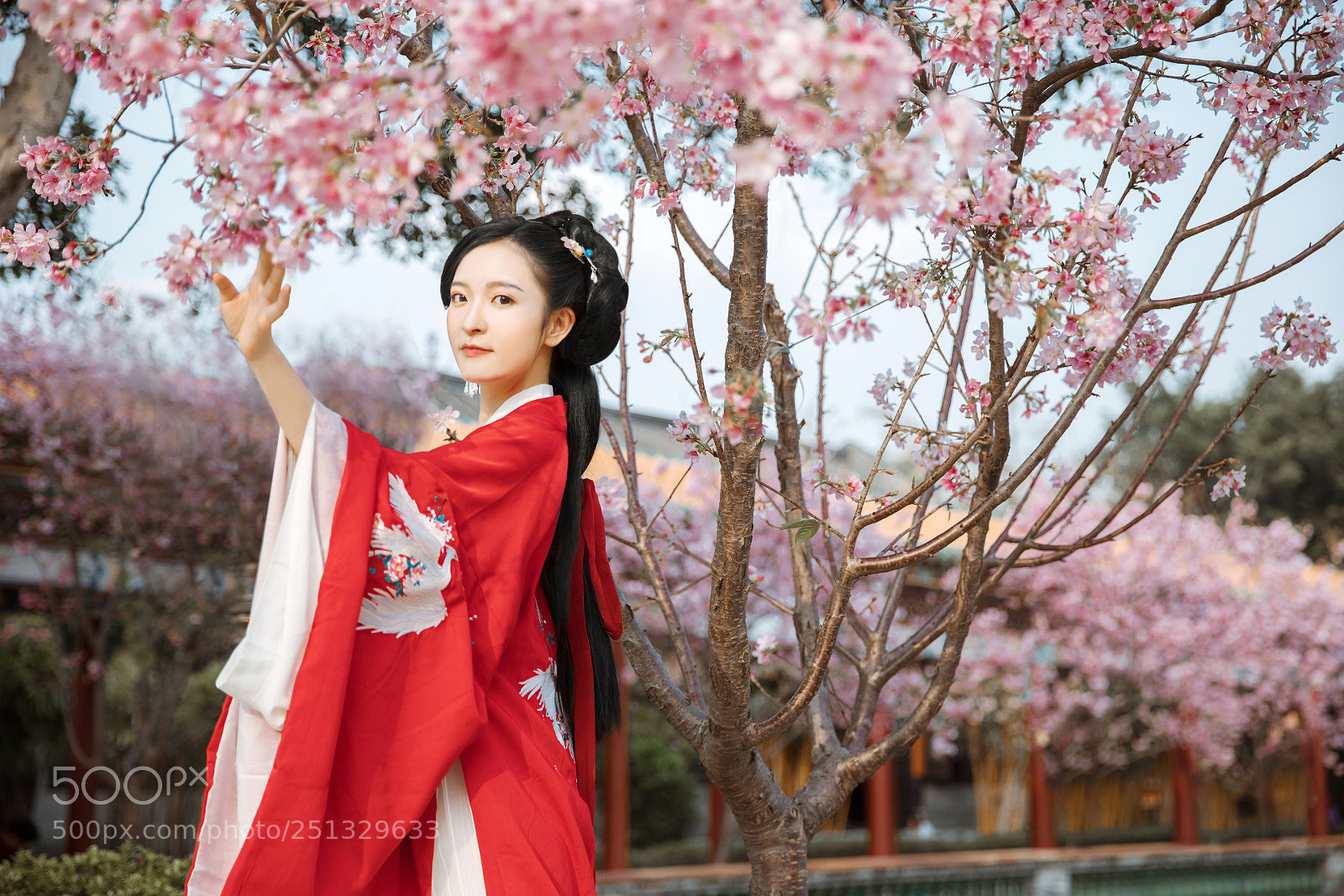 Canon EOS 5D Mark IV sample photo. Untitled photography