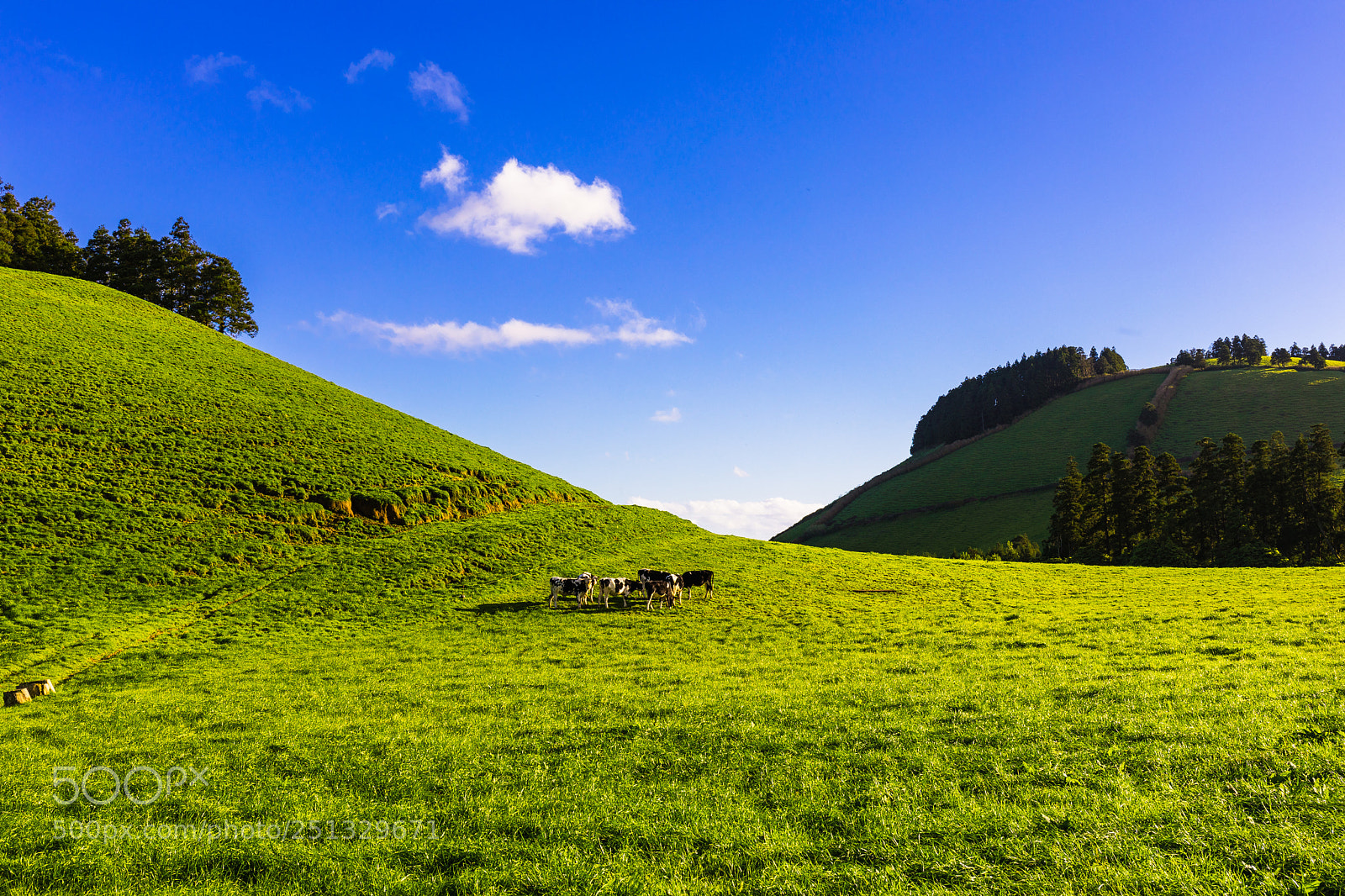 Canon EOS 5D Mark IV sample photo. Azores #3 photography