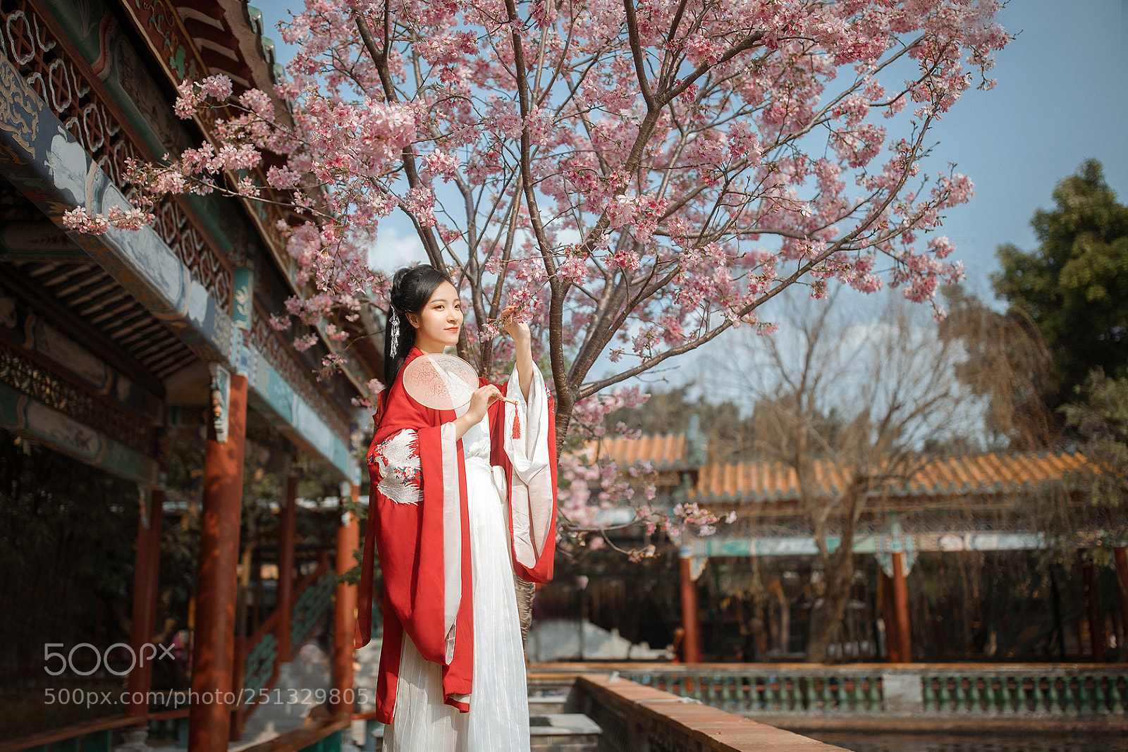 Canon EOS 5D Mark IV sample photo. Untitled photography