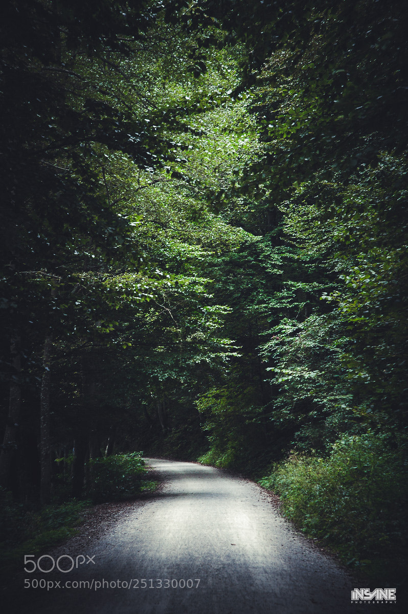 Nikon D70s sample photo. On the trail photography