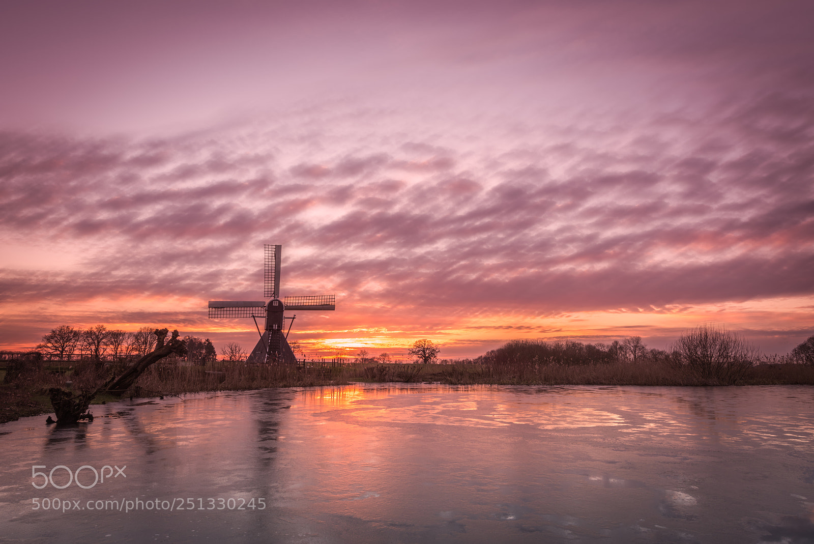 Nikon D810 sample photo. Frozen winter photography