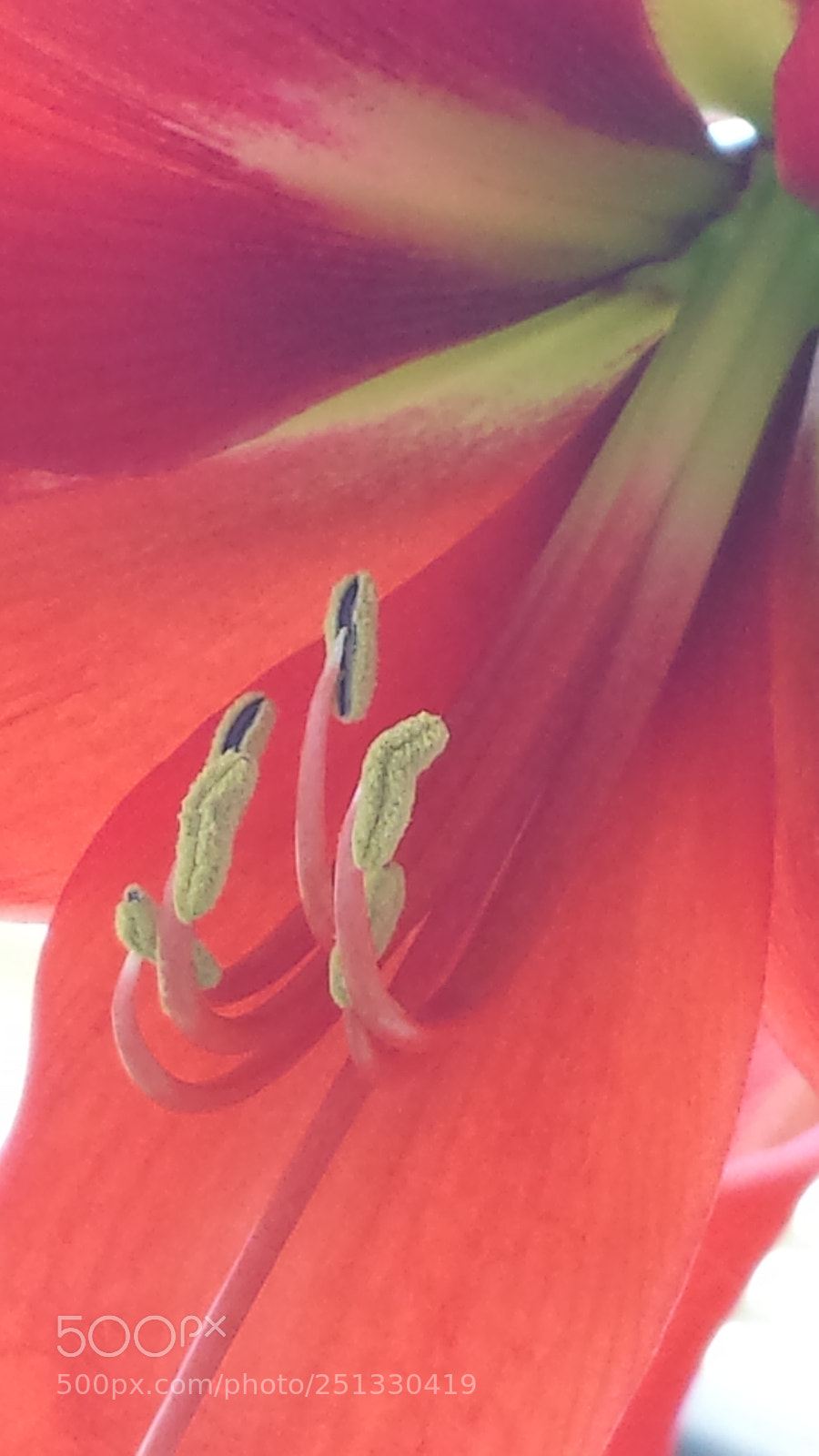 Samsung Galaxy S4 sample photo. Untitled photography