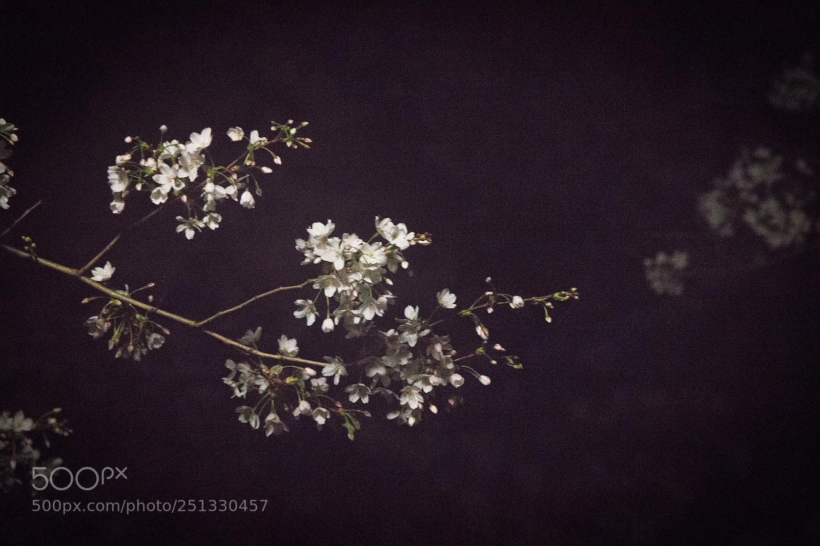 Canon EOS 700D (EOS Rebel T5i / EOS Kiss X7i) sample photo. Untitled photography