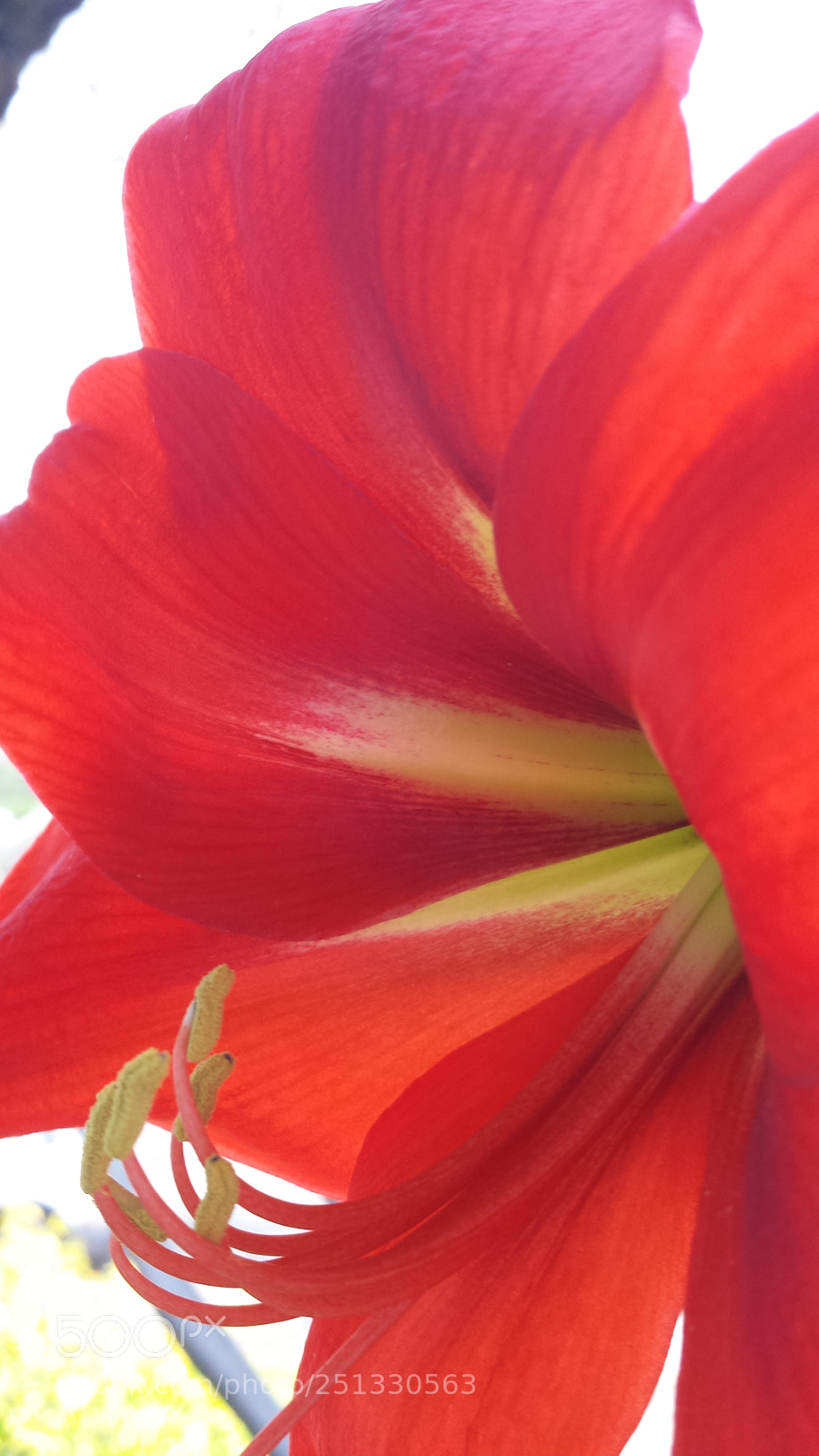 Samsung Galaxy S4 sample photo. Untitled photography