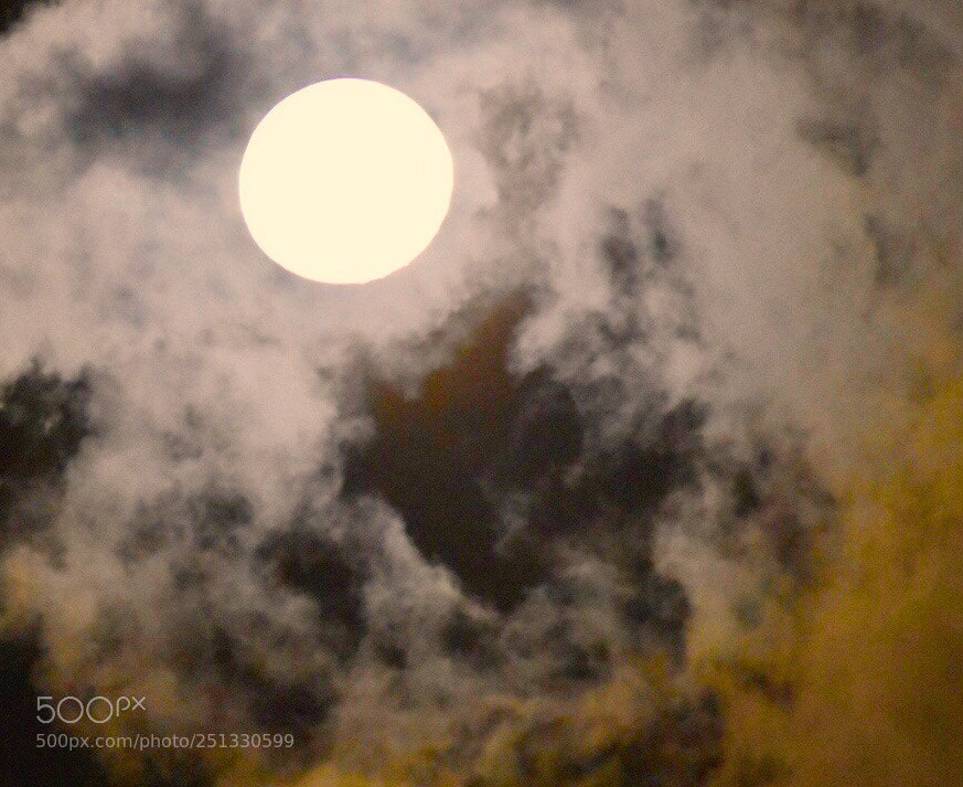 Nikon D7200 sample photo. This evening moon photography