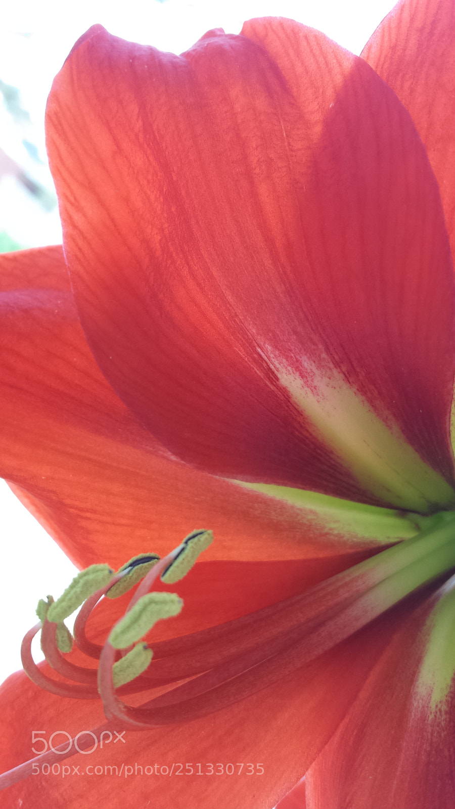 Samsung Galaxy S4 sample photo. Untitled photography