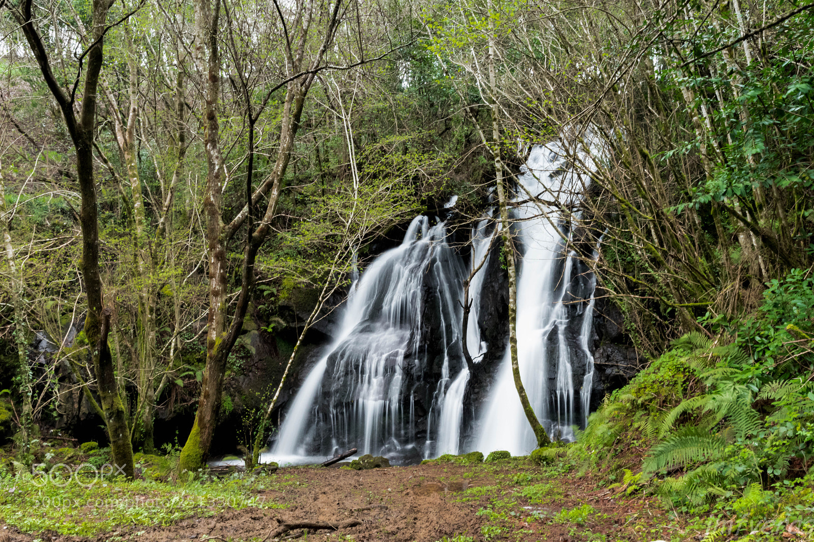 Nikon D5500 sample photo. Cascada en o coto photography