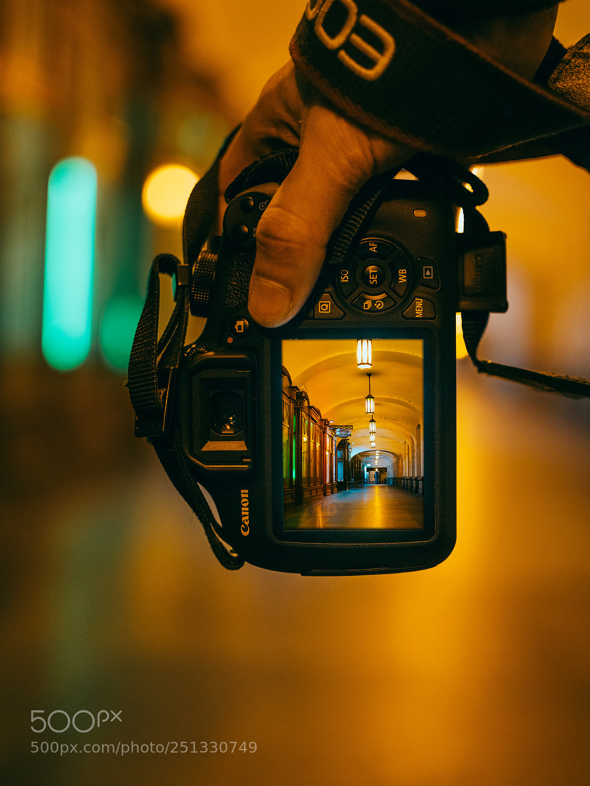 Nikon D5300 sample photo. Can-on! photography