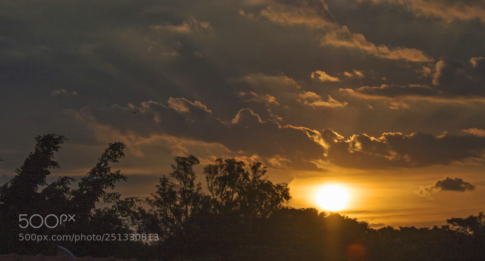 Canon EOS 40D sample photo. Down photography