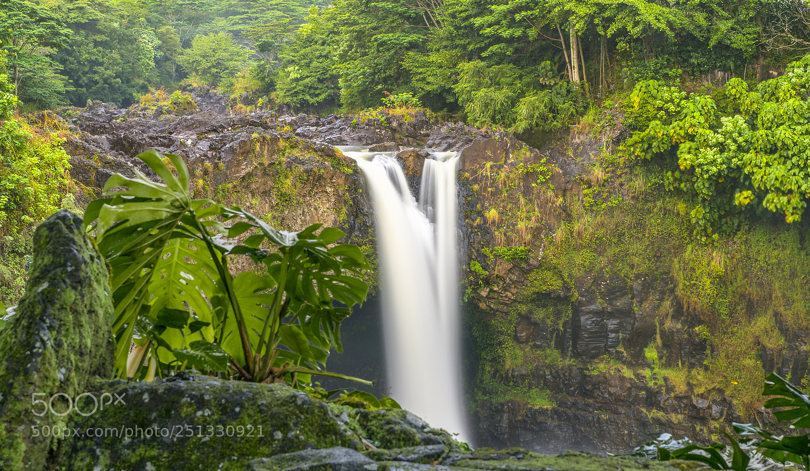 Nikon D850 sample photo. Waterfall with tree waterfall photography