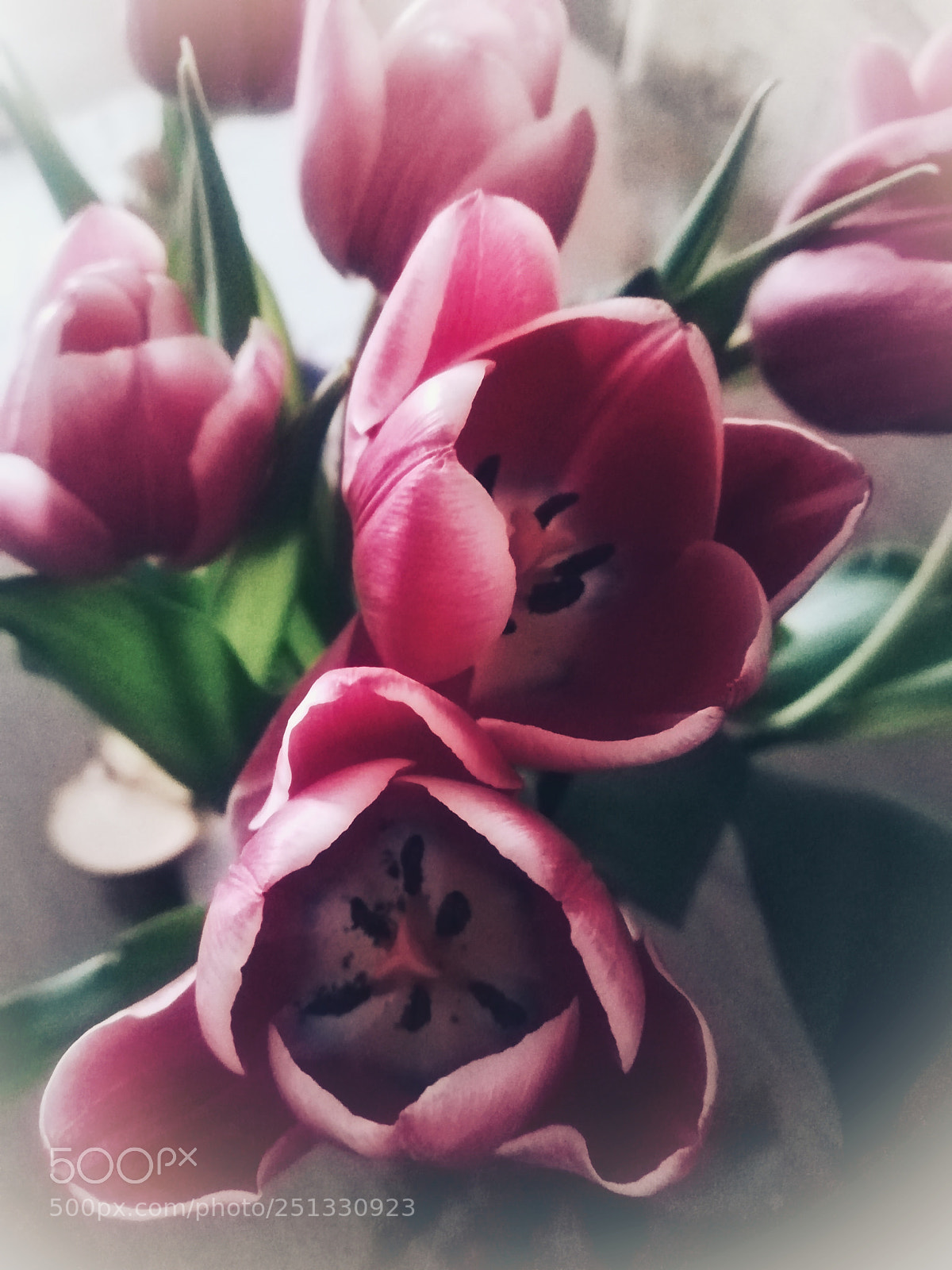 HUAWEI P10 lite sample photo. Untitled photography