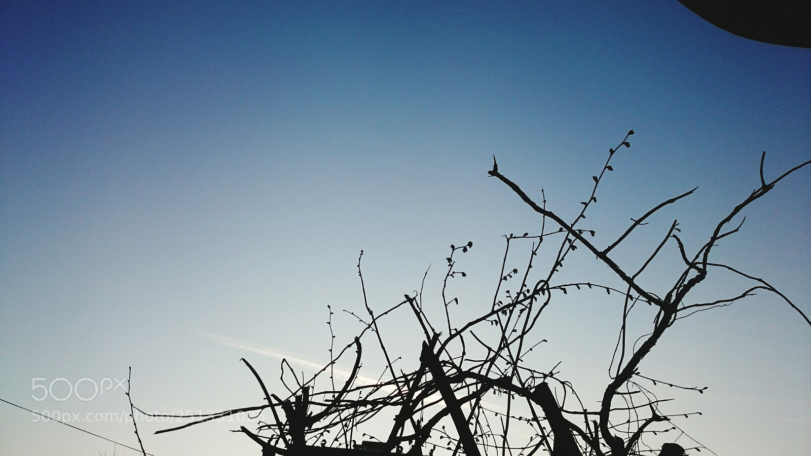 Sony Xperia Z2 sample photo. Untitled photography