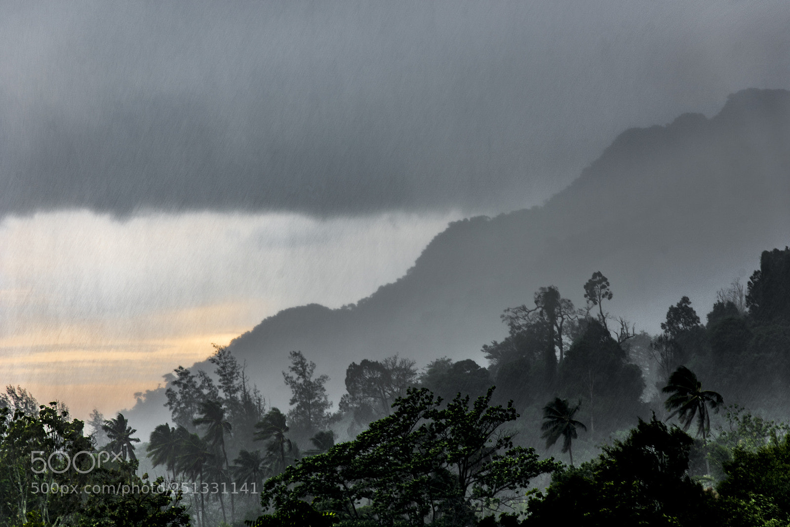 Nikon D810 sample photo. Rain before sunset photography