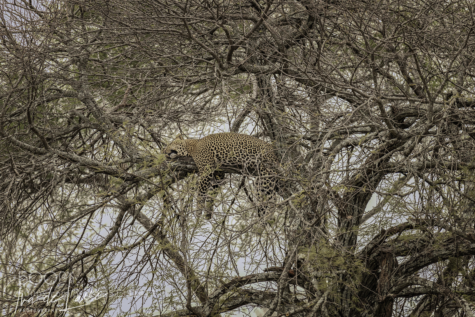 Nikon D810 sample photo. We all need our photography