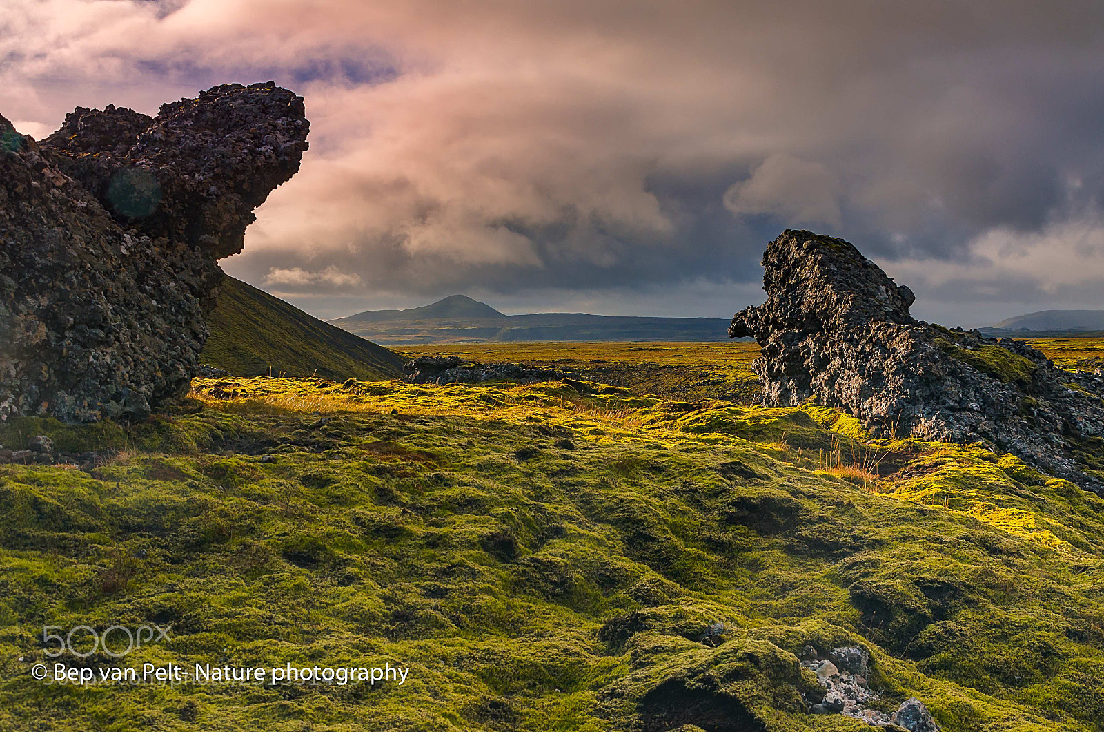 Nikon D7000 sample photo. Hverager i mossy vulcanic photography