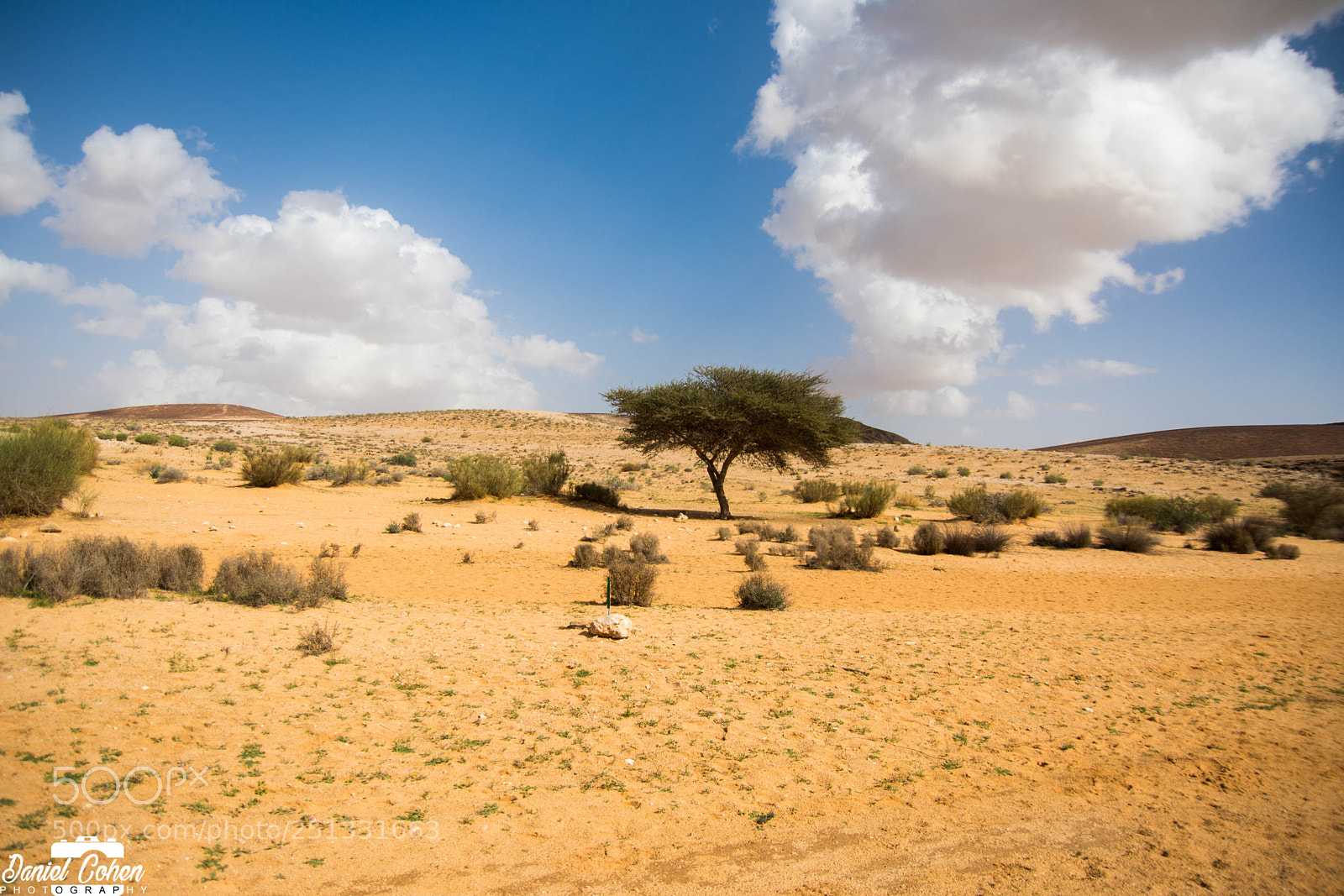 Nikon D7100 sample photo. Alone in the dessert photography