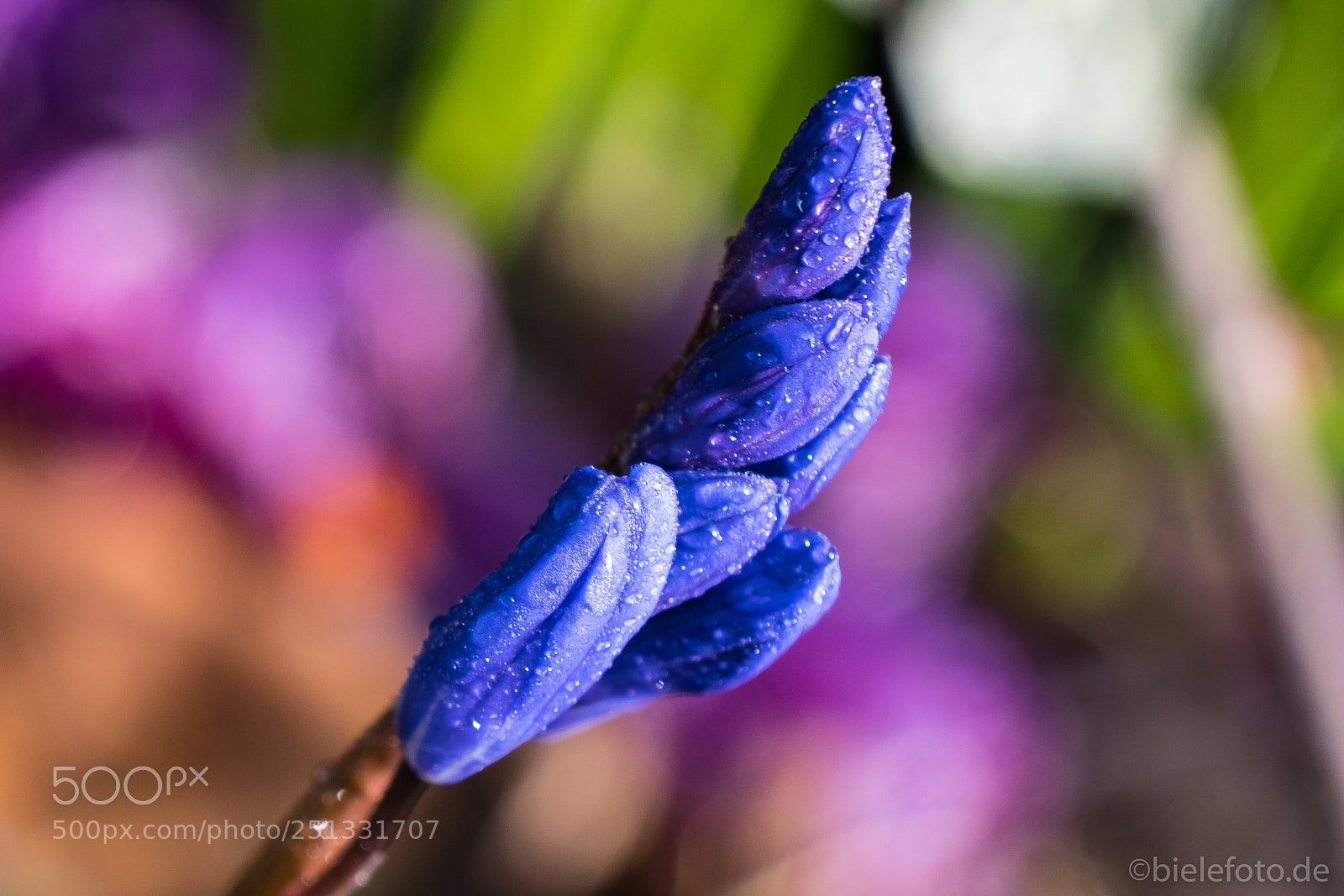 Fujifilm X-T20 sample photo. Water drops #2 photography