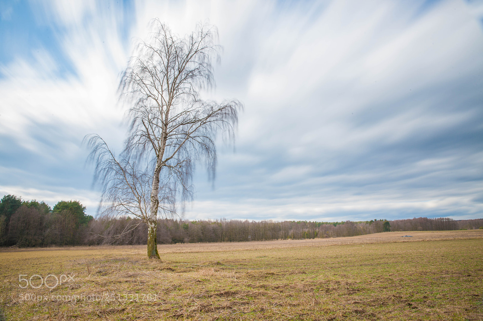 Canon EOS-1Ds Mark III sample photo. Pld photography