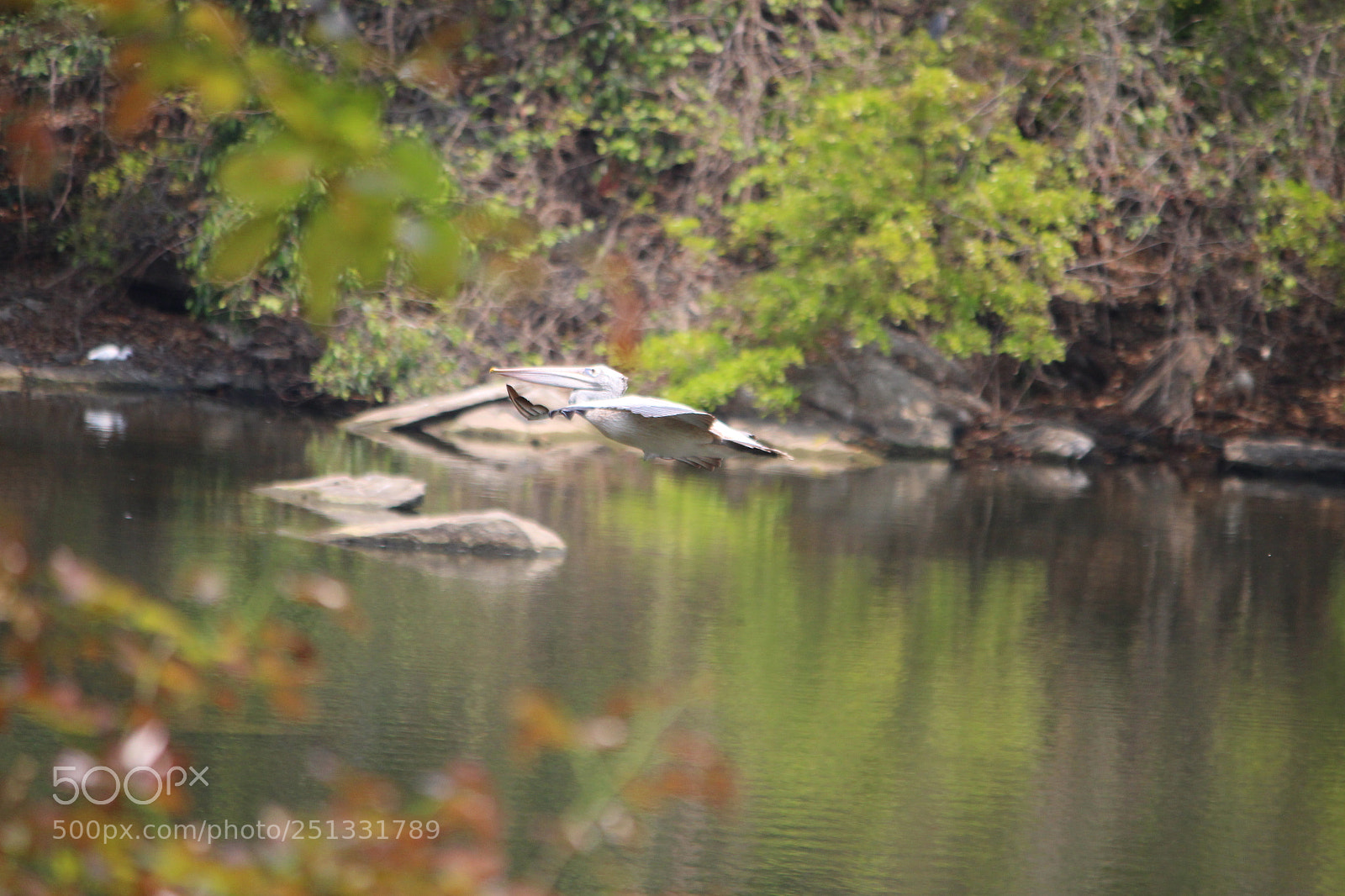 Canon EF-S 55-250mm F4-5.6 IS II sample photo. Untitled photography