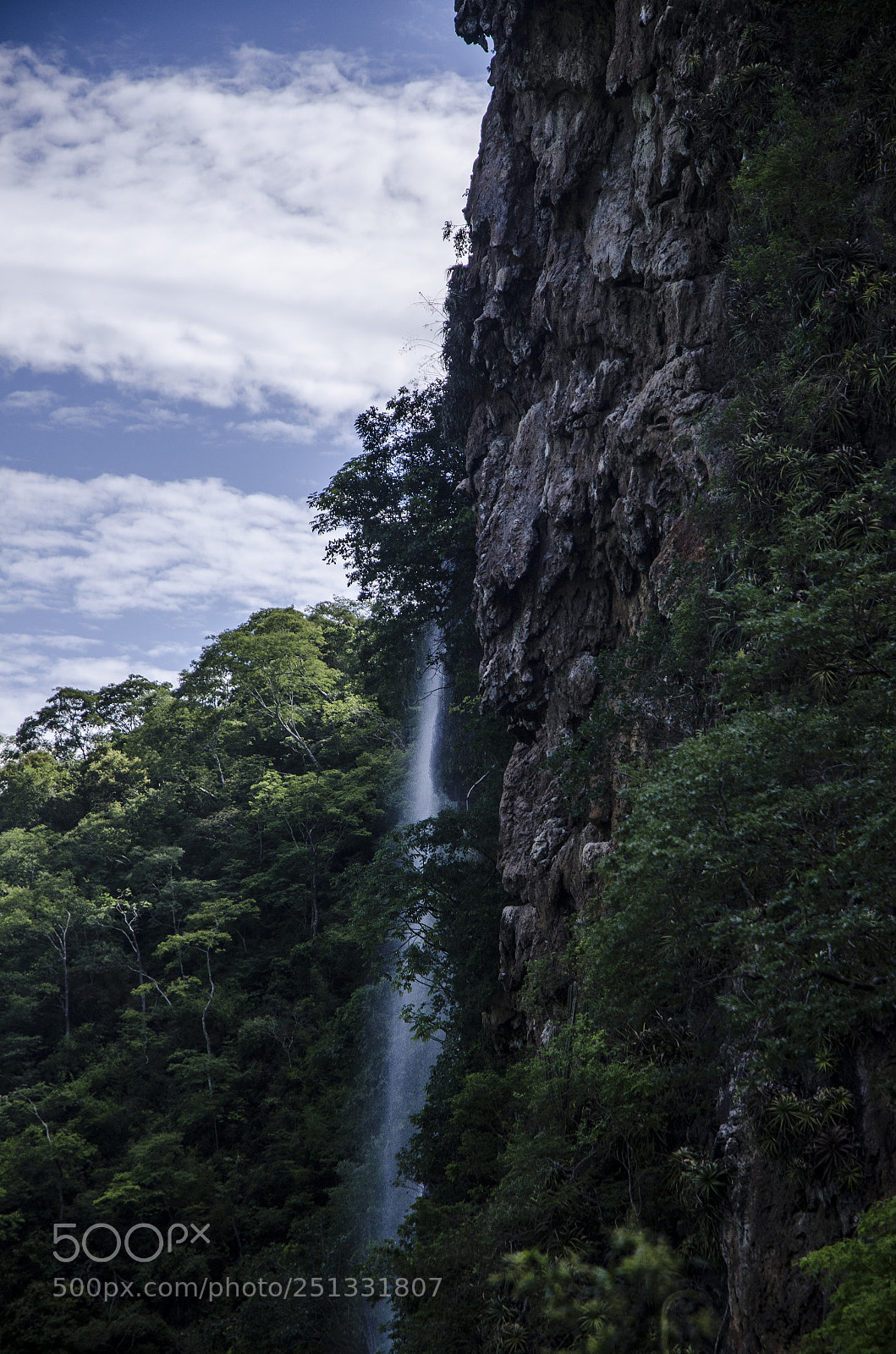 Nikon D7000 sample photo. Bonito ms photography