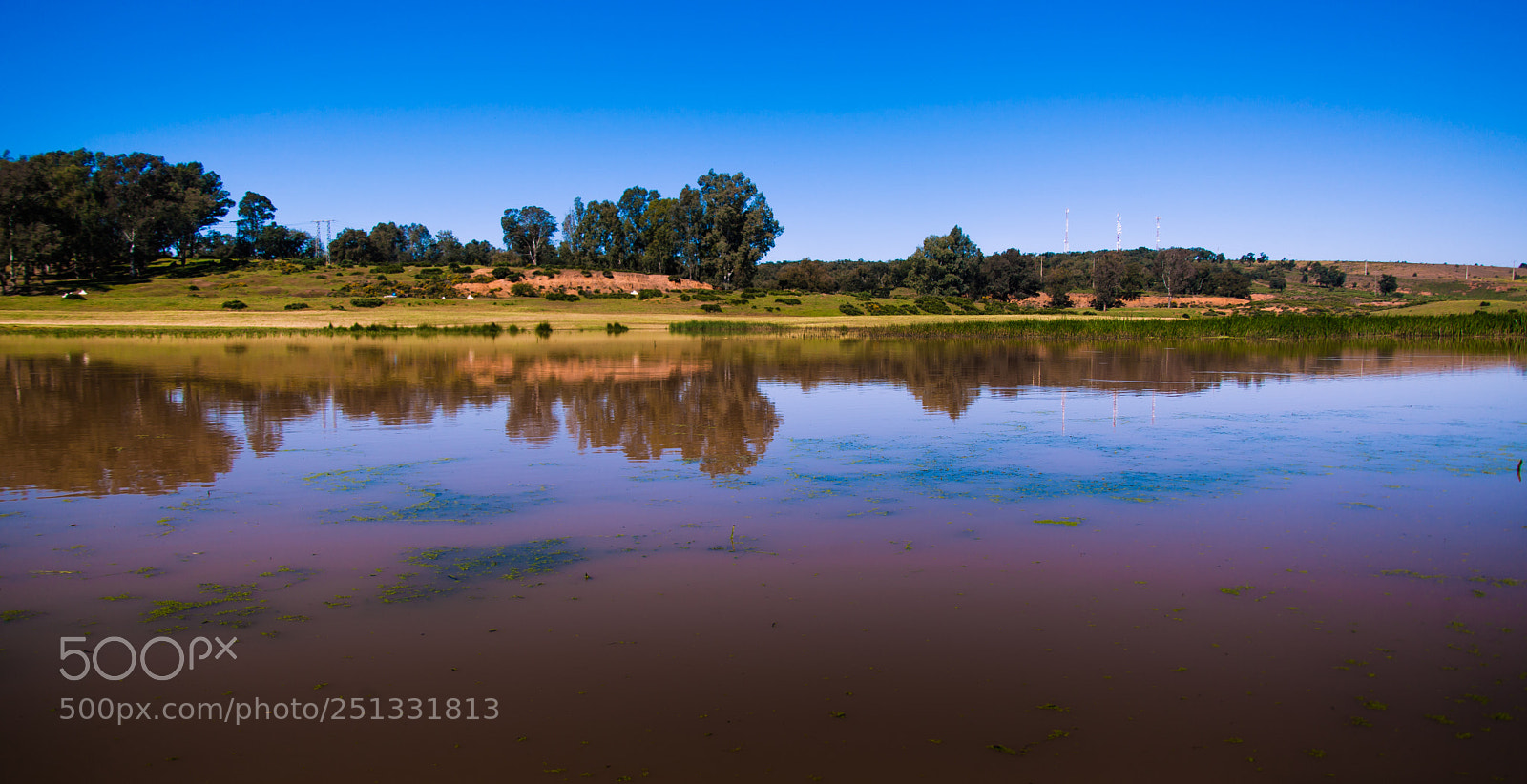 Canon EOS 5D Mark II sample photo. Reflection photography