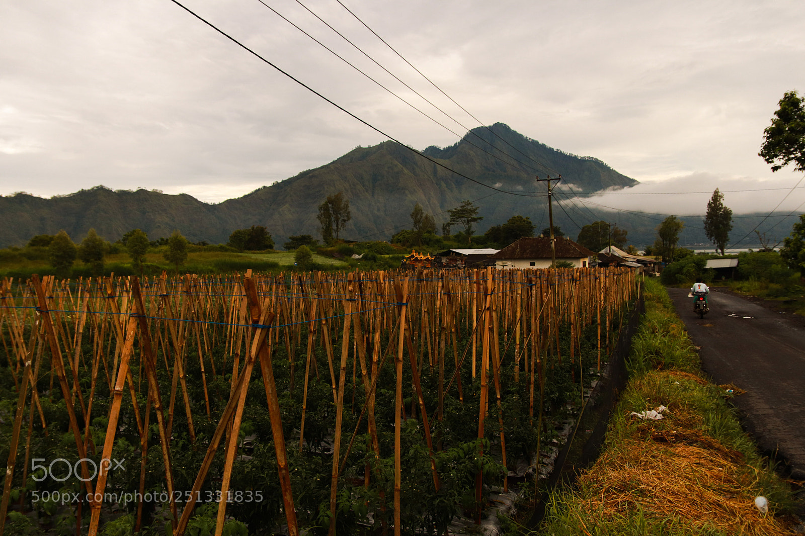 Canon EOS 77D (EOS 9000D / EOS 770D) sample photo. Untitled photography