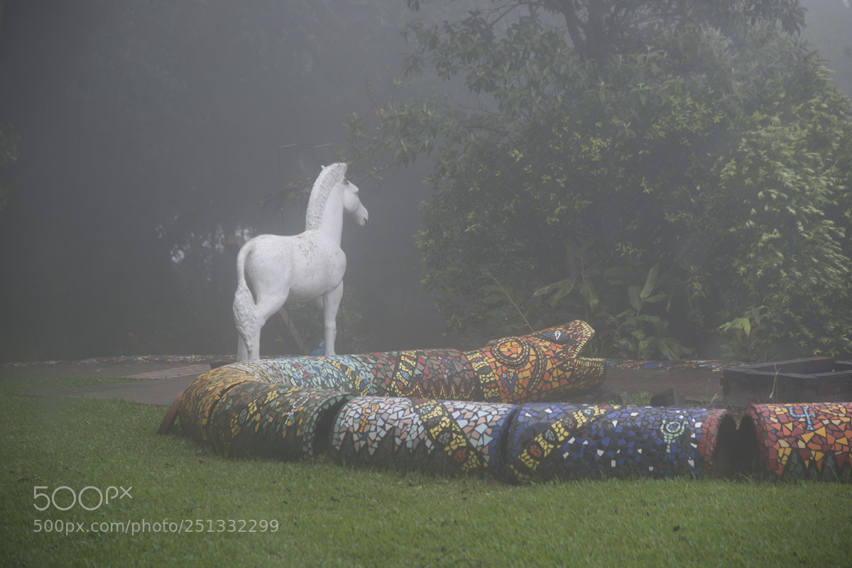 Nikon D800 sample photo. Caminho das serpentes photography