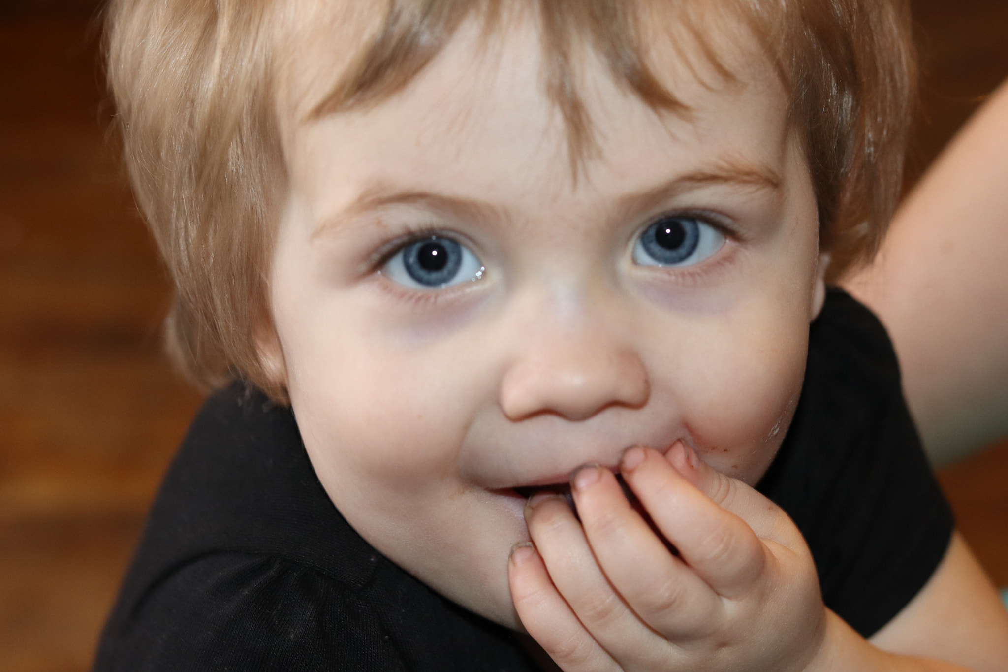 Canon EOS 800D (EOS Rebel T7i / EOS Kiss X9i) sample photo. Grandbaby love photography