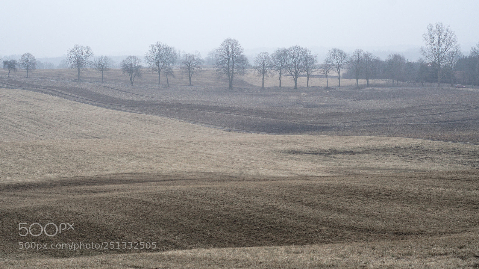 Nikon D7000 sample photo. Fields of warmia. photography