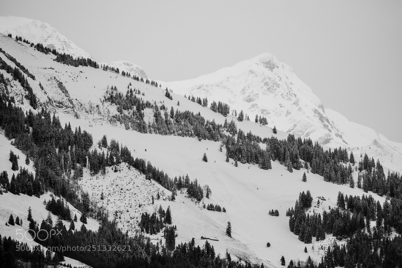 Sony a6000 sample photo. Dsc photography