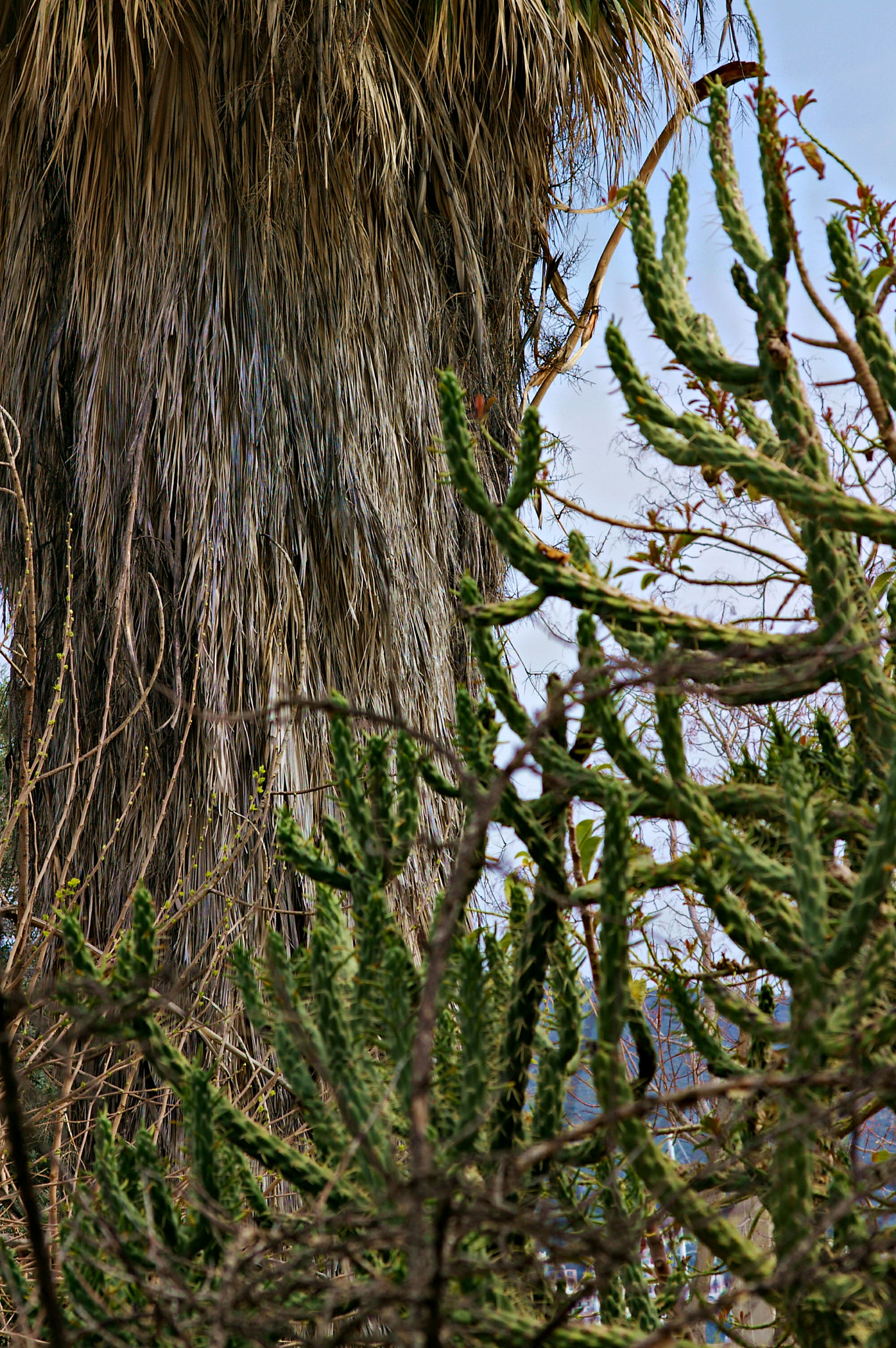 Pentax *ist DS sample photo. Untitled photography