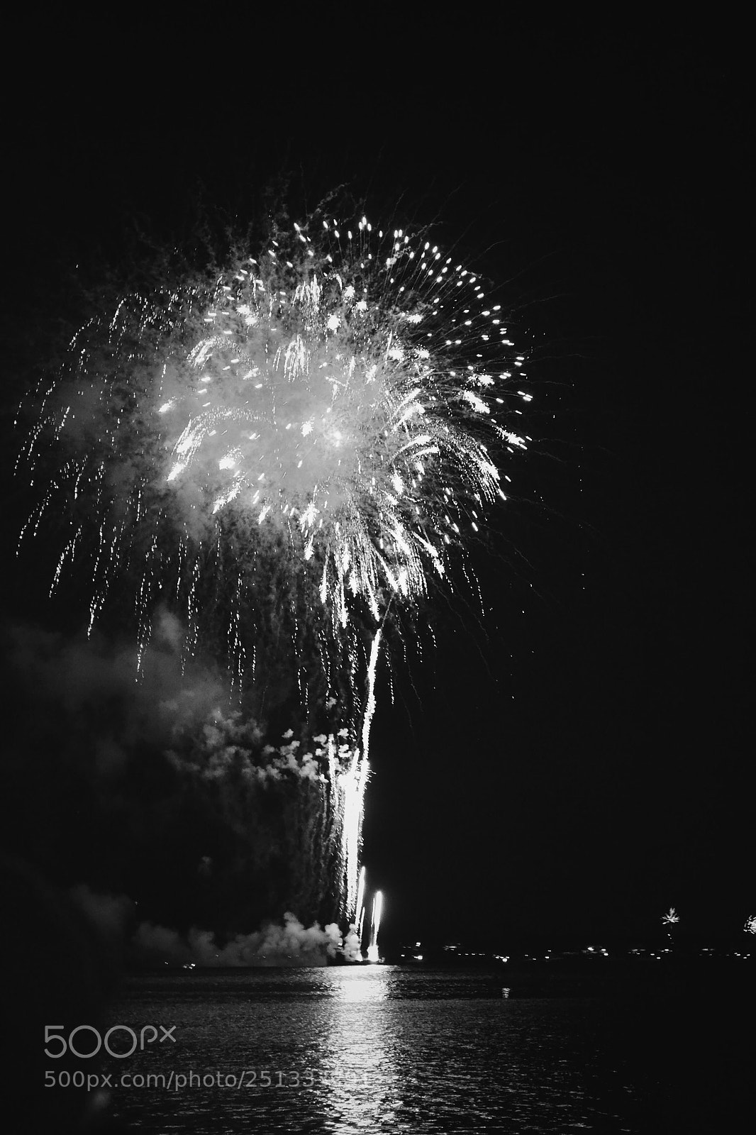 Nikon D3100 sample photo. Fireworks  photography