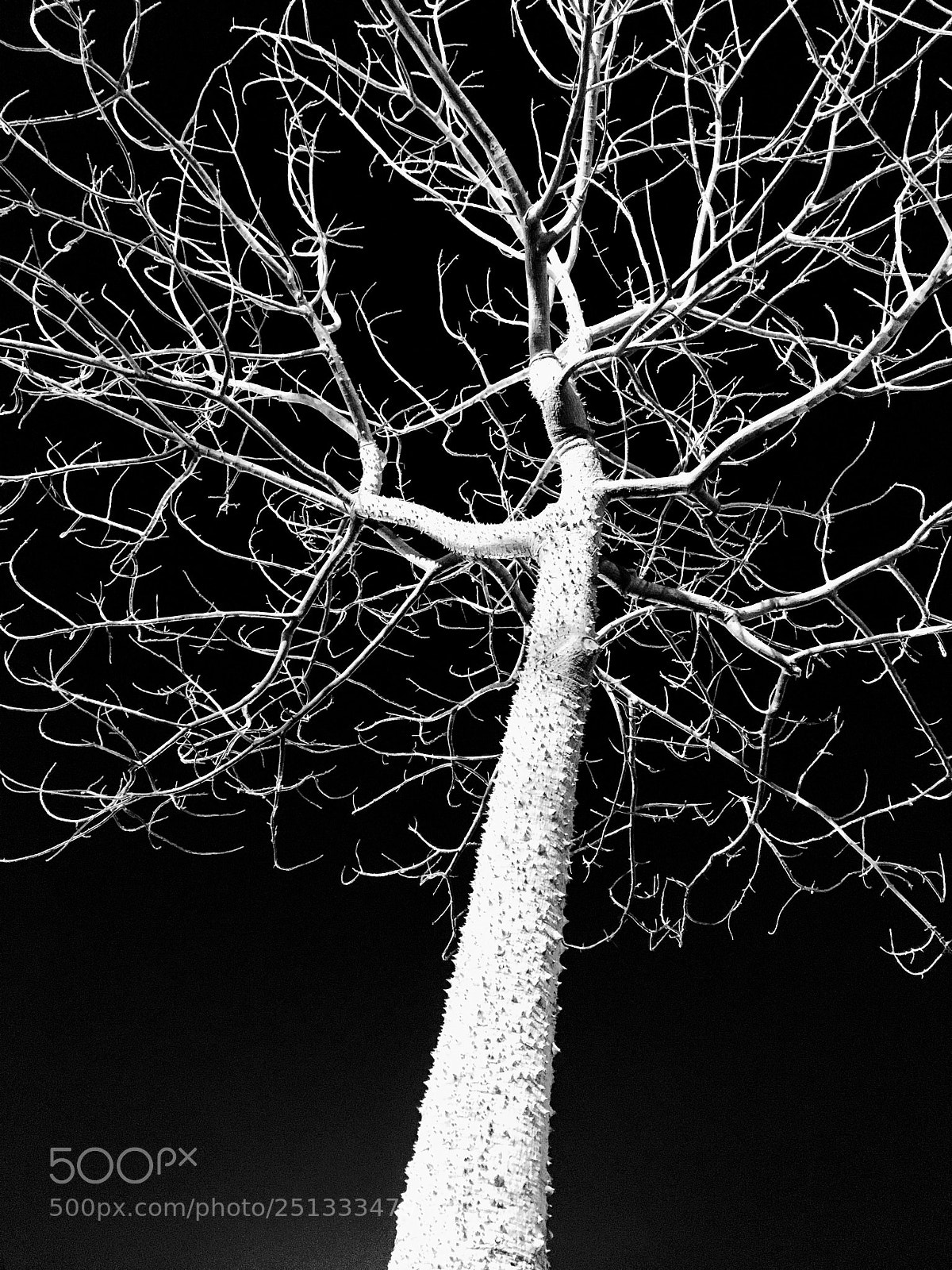 Apple iPhone 6s sample photo. Untangle it!  photography