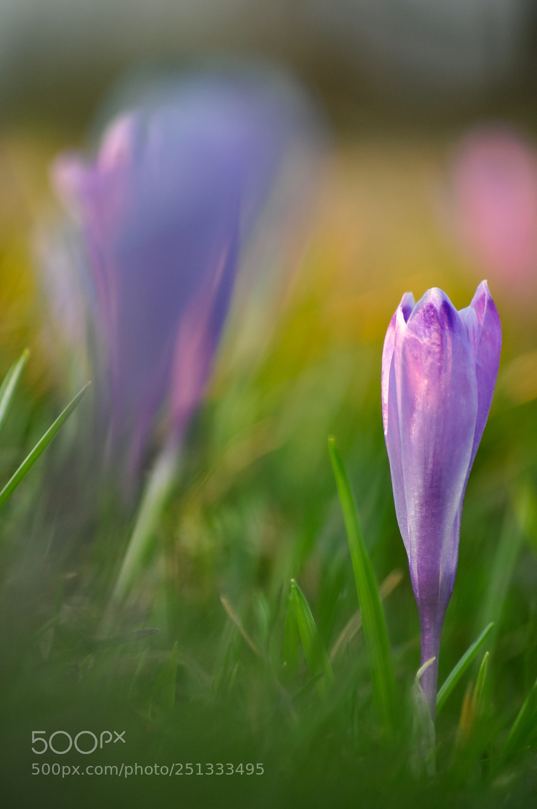 Nikon D90 sample photo. Hazy friend photography