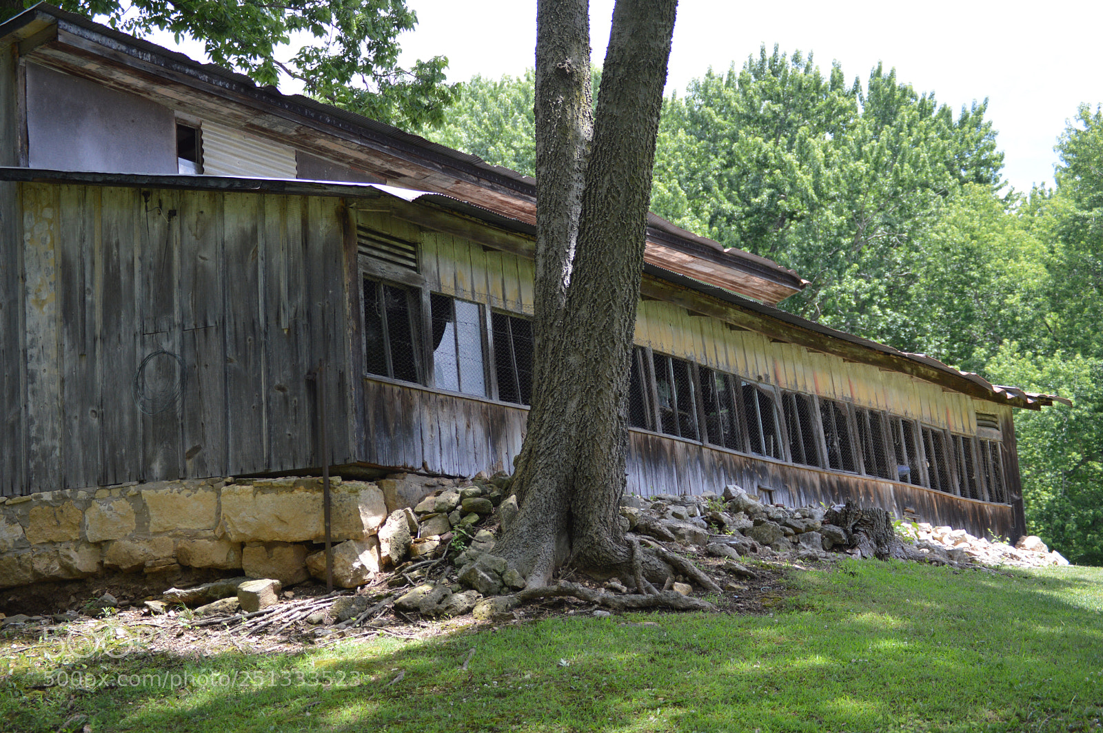 Nikon D3200 sample photo. Chicken coop photography