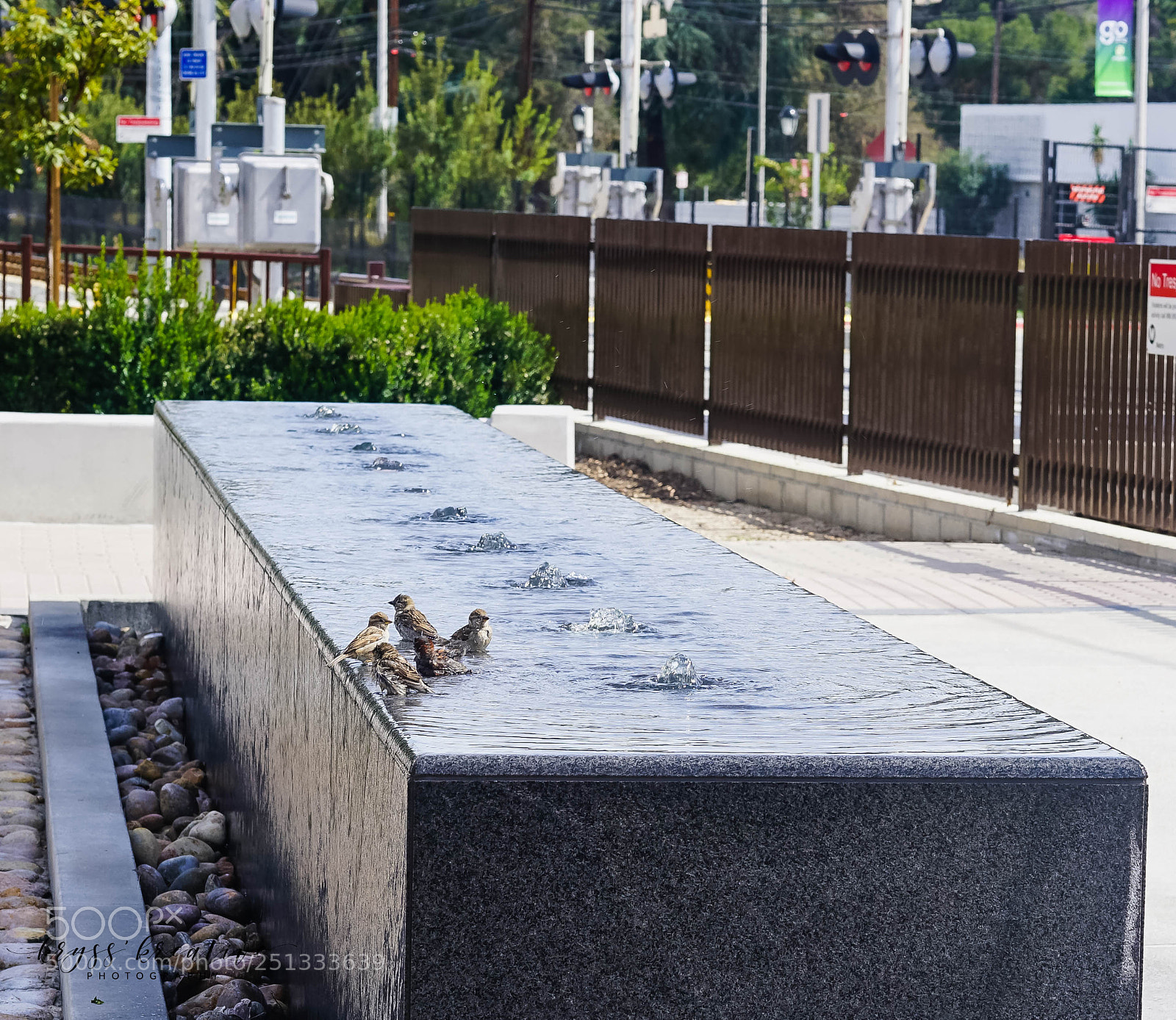 Sony a7R II sample photo. Sq photography