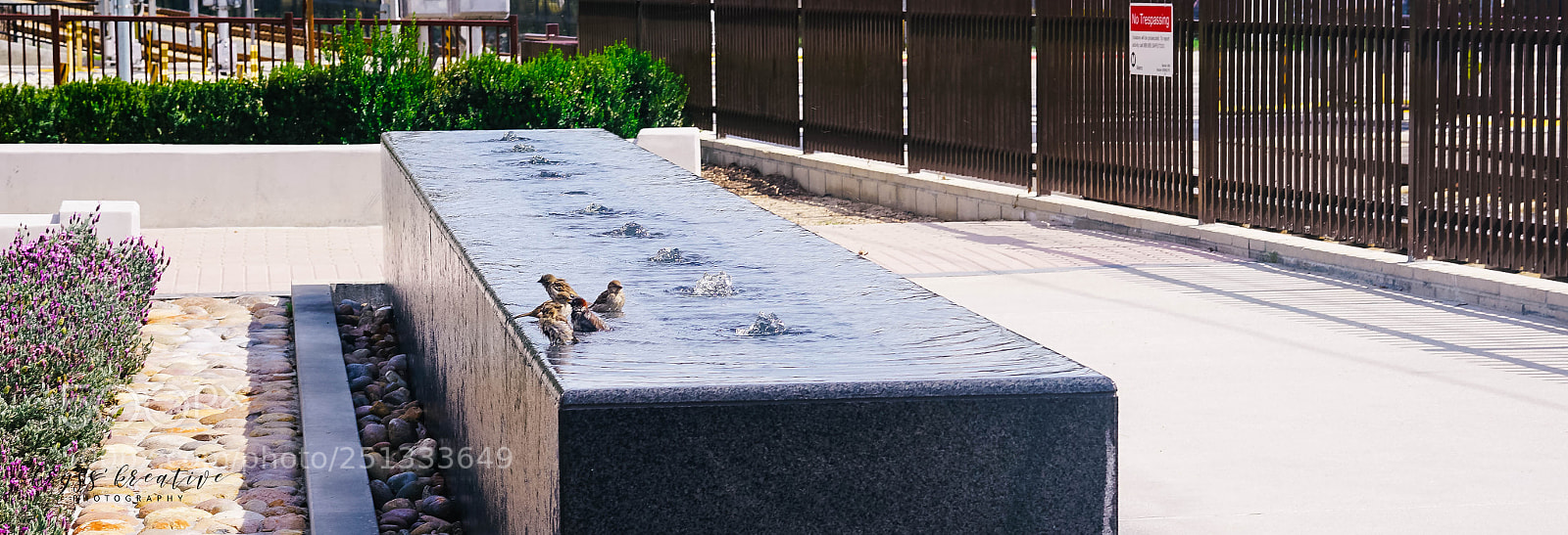 Sony a7R II sample photo. Sq photography