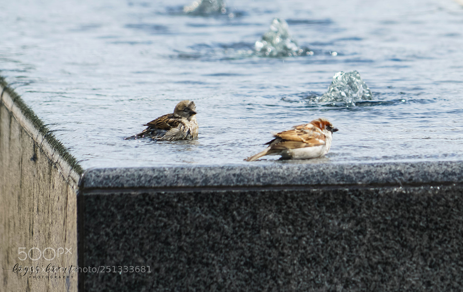 Sony a7R II sample photo. Sq photography